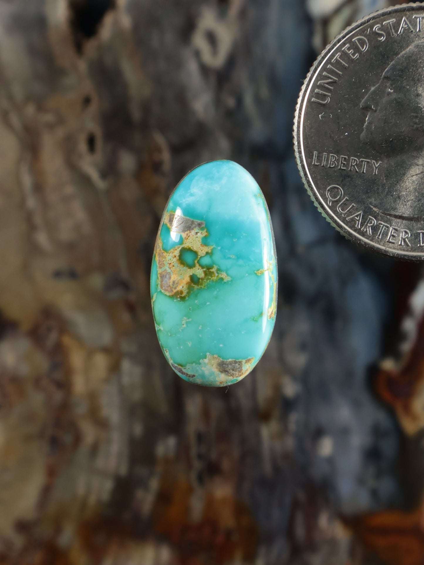 Oval turquoise cabochon gemstone with green-brown matrix veining