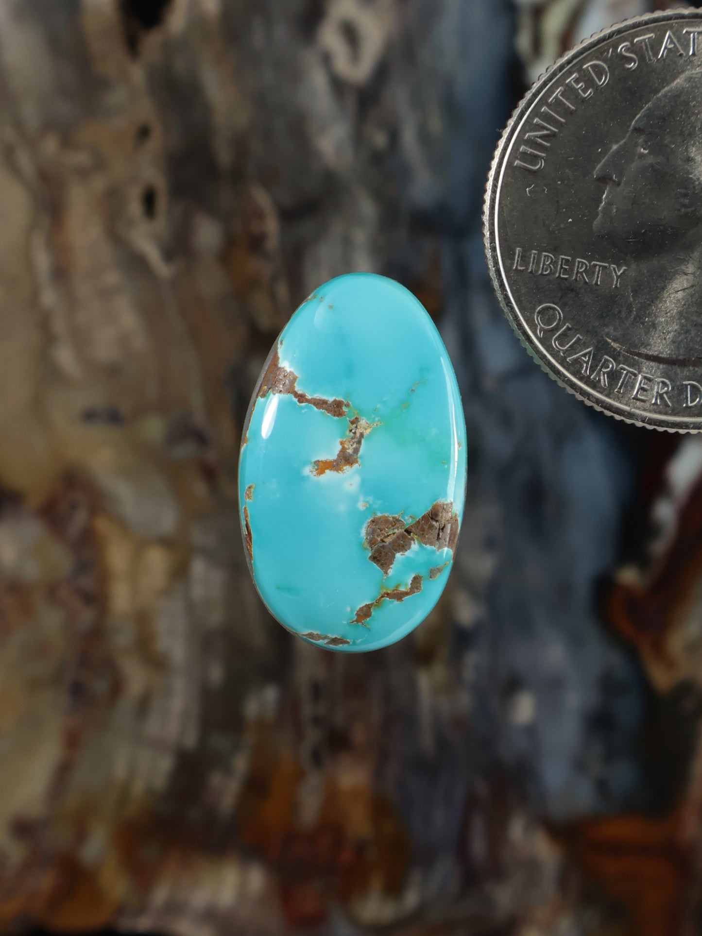 Turquoise cabochon gemstone in oval shape with brown matrix veining