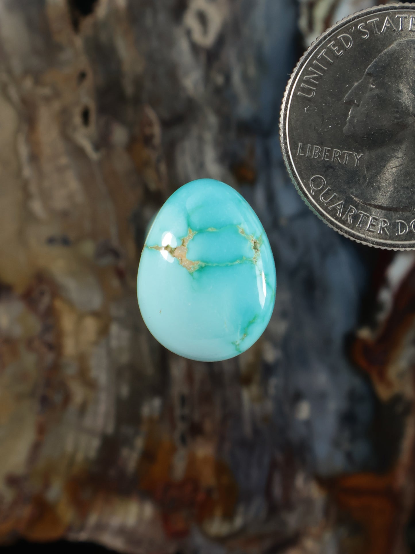 Turquoise oval cabochon gemstone with gold veining