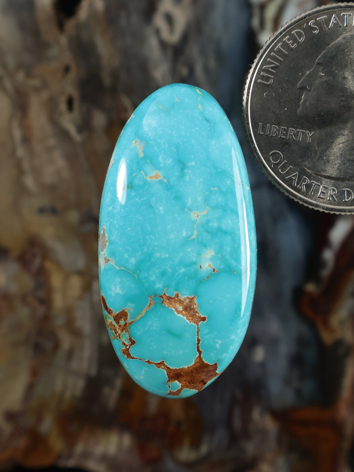 Oval turquoise cabochon gemstone with natural brown veining and polished surface