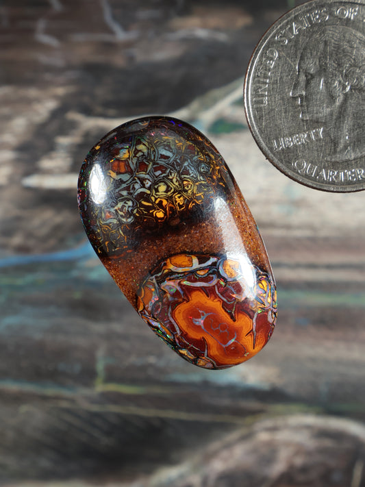 Boulder opal cabochon, rounded oval with glossy dark face and fiery orange center