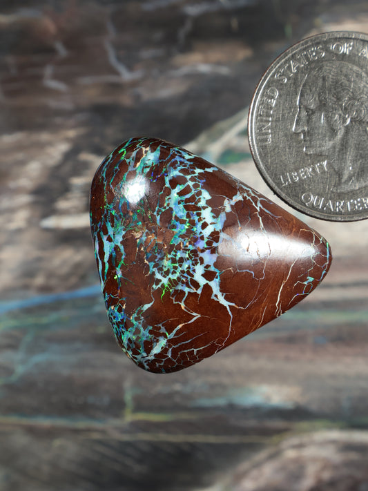 Opal boulder cabochon, rounded triangular face, brown with teal-blue and green flashes.