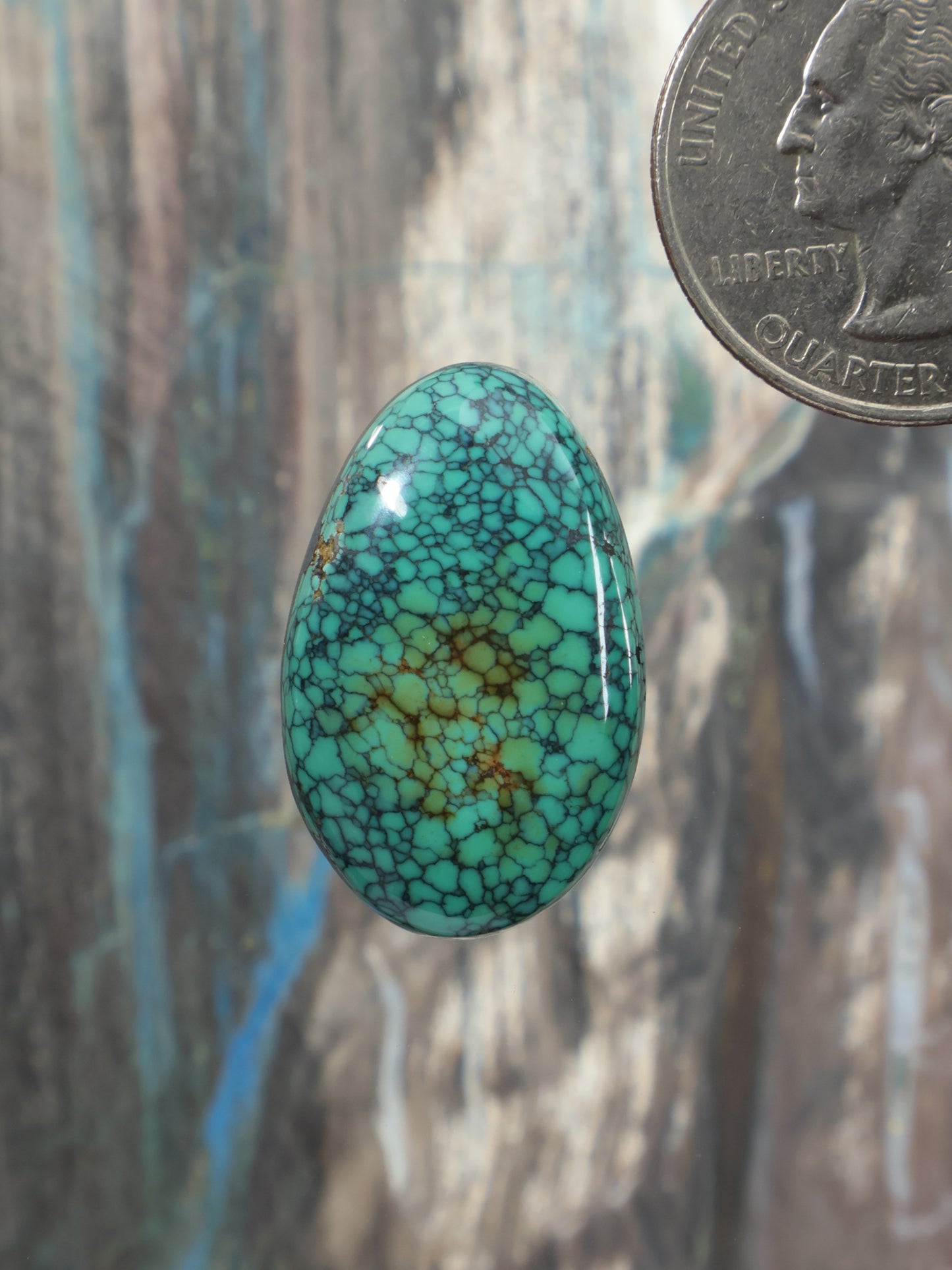Oval turquoise cabochon with webbed pattern and glossy finish