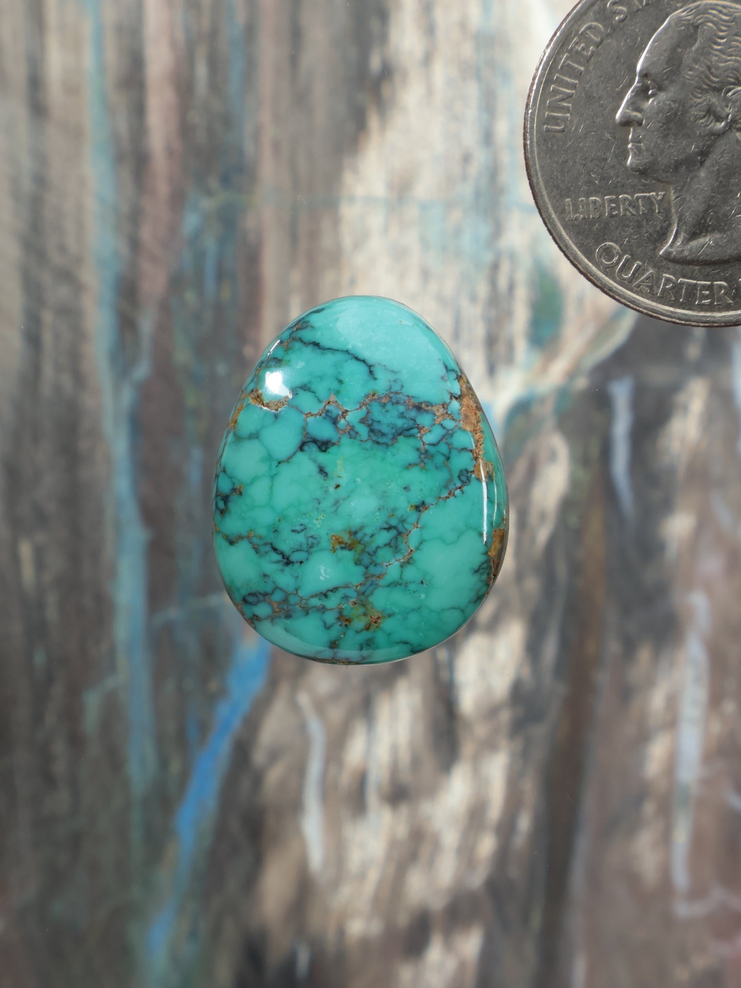 Turquoise oval cabochon gemstone with dark web matrix, polished surface