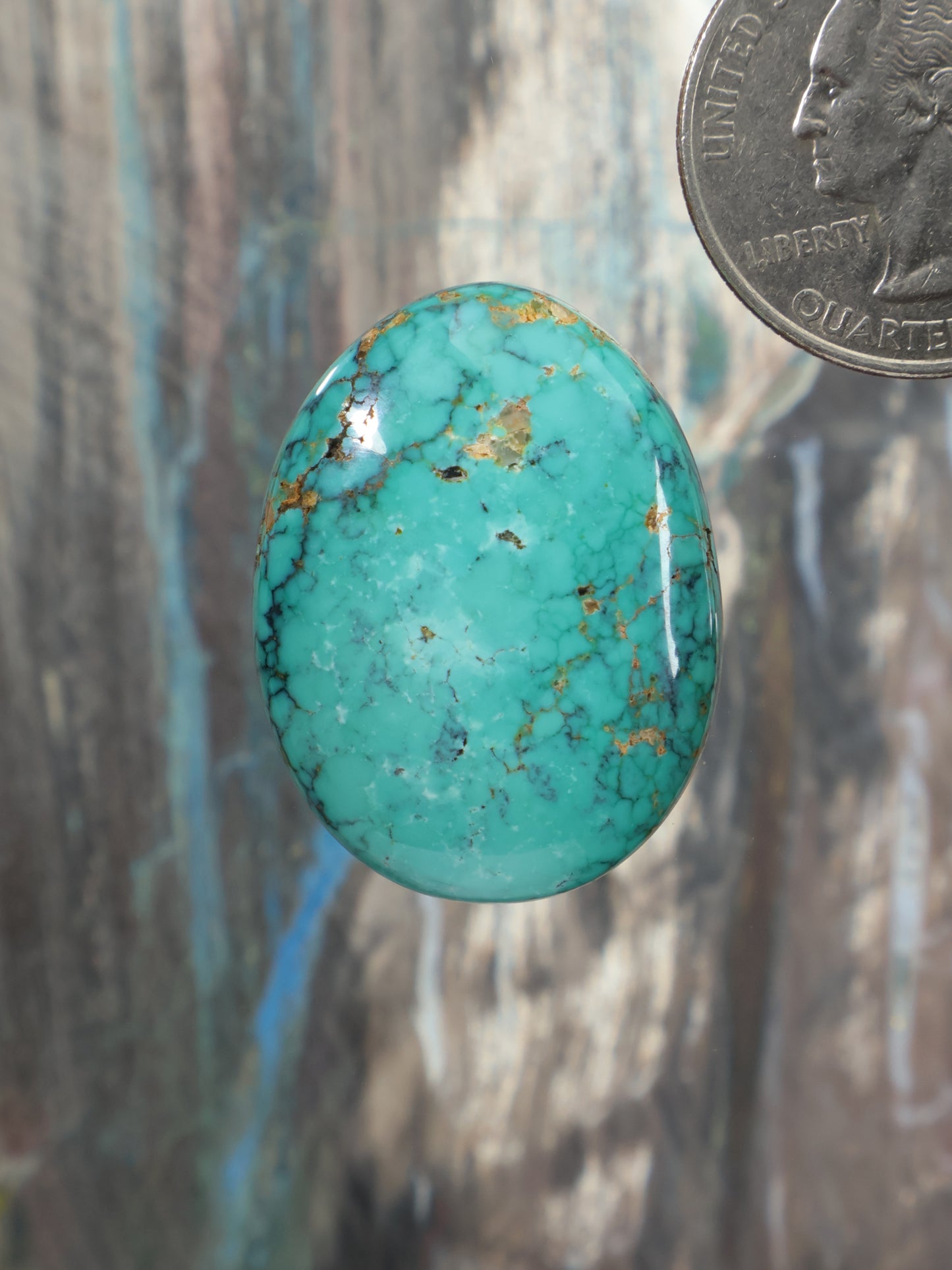 Oval turquoise cabochon gemstone with natural brown matrix veining