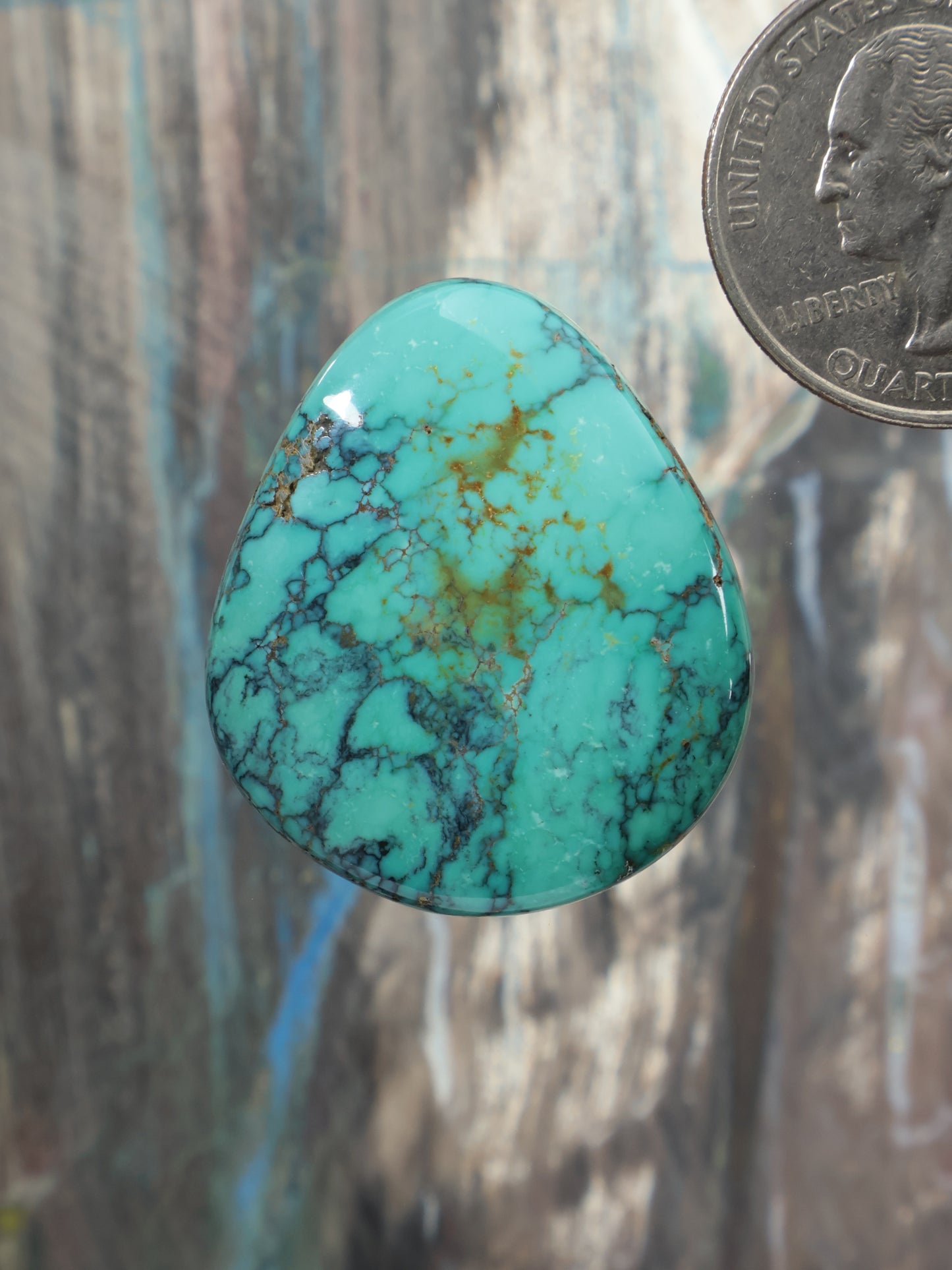 Turquoise teardrop cabochon gemstone with dark web matrix