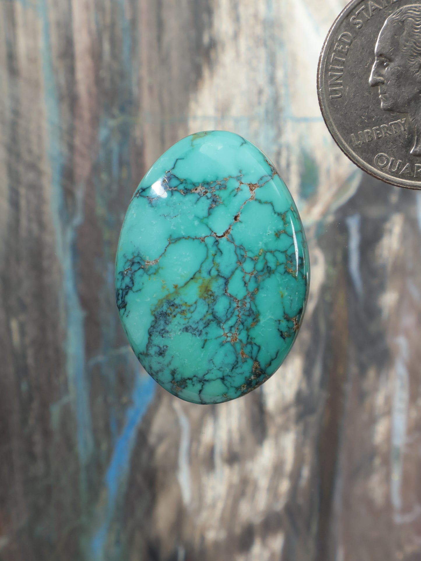 Turquoise oval cabochon gemstone with natural matrix veining