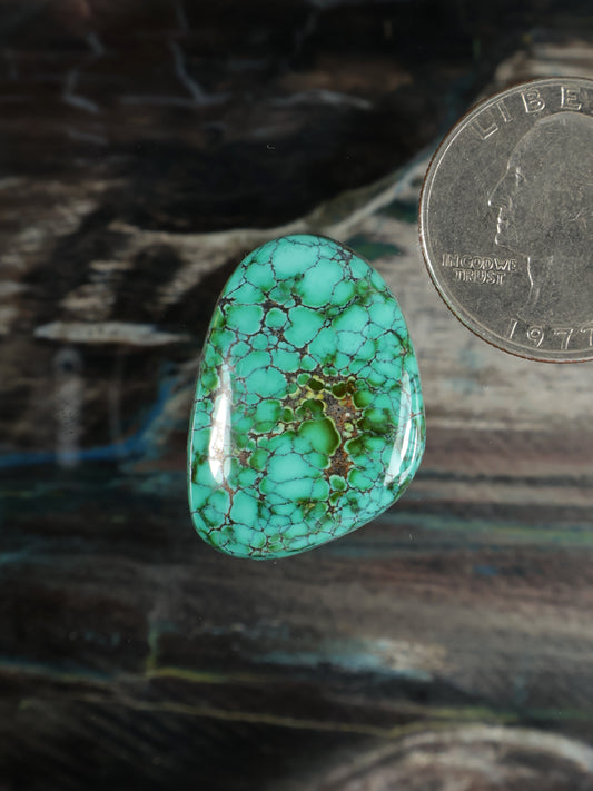 Turquoise green teardrop-oval gemstone cabochon with webbed matrix and golden center