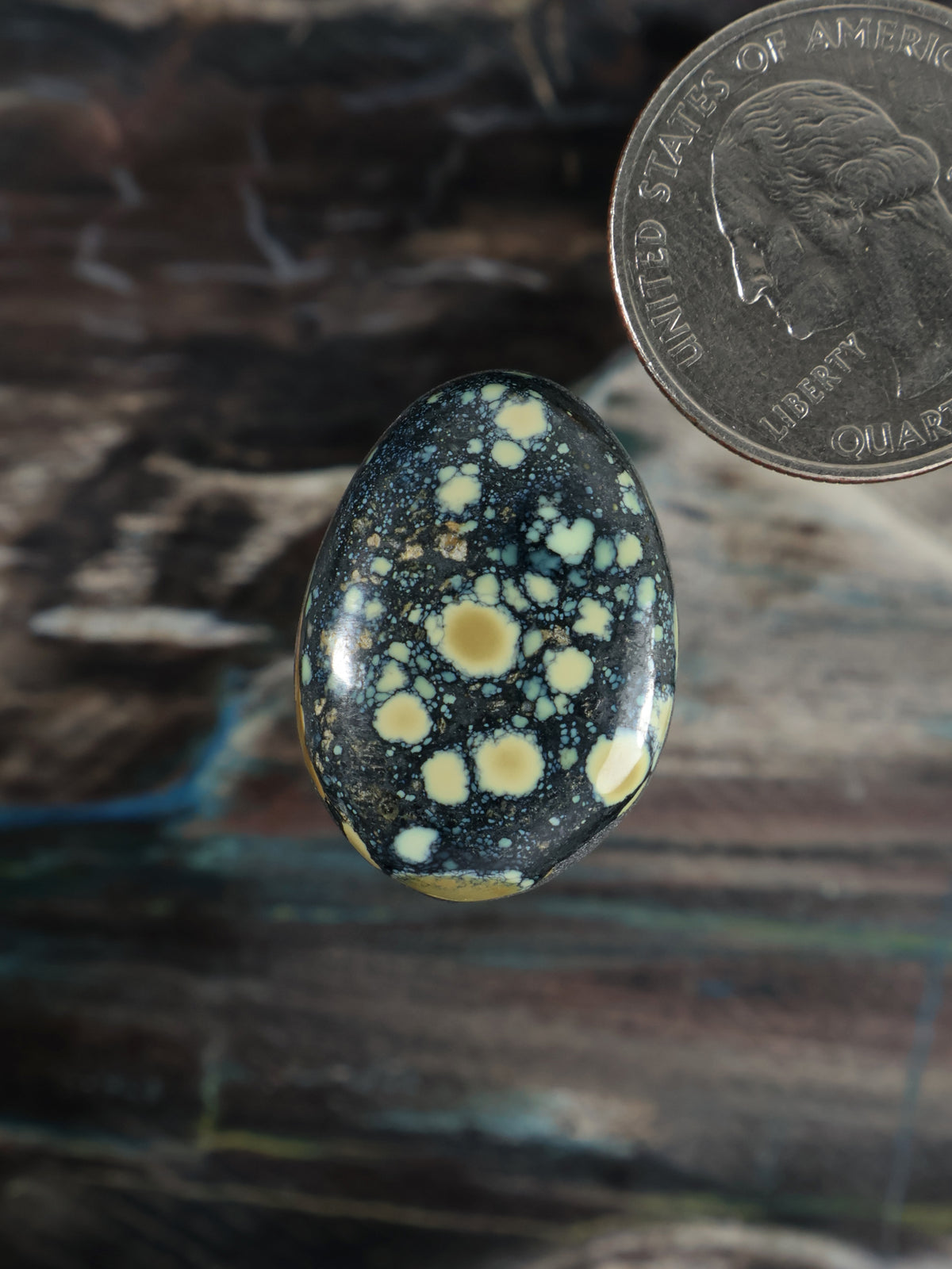 Oval speckled cabochon gemstone with dark base and pale yellow and white spots