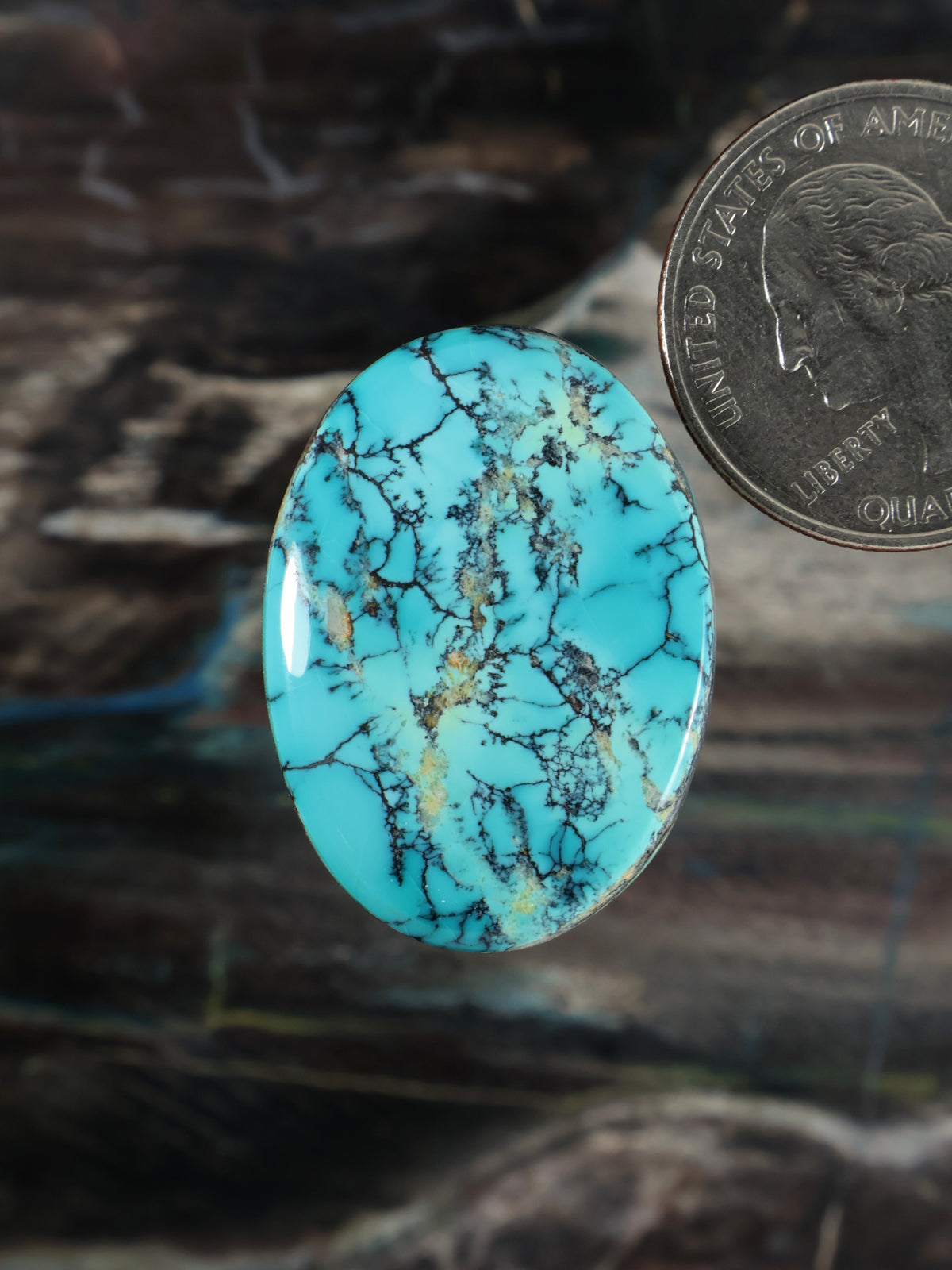 Labashan Turquoise Cabochon B127