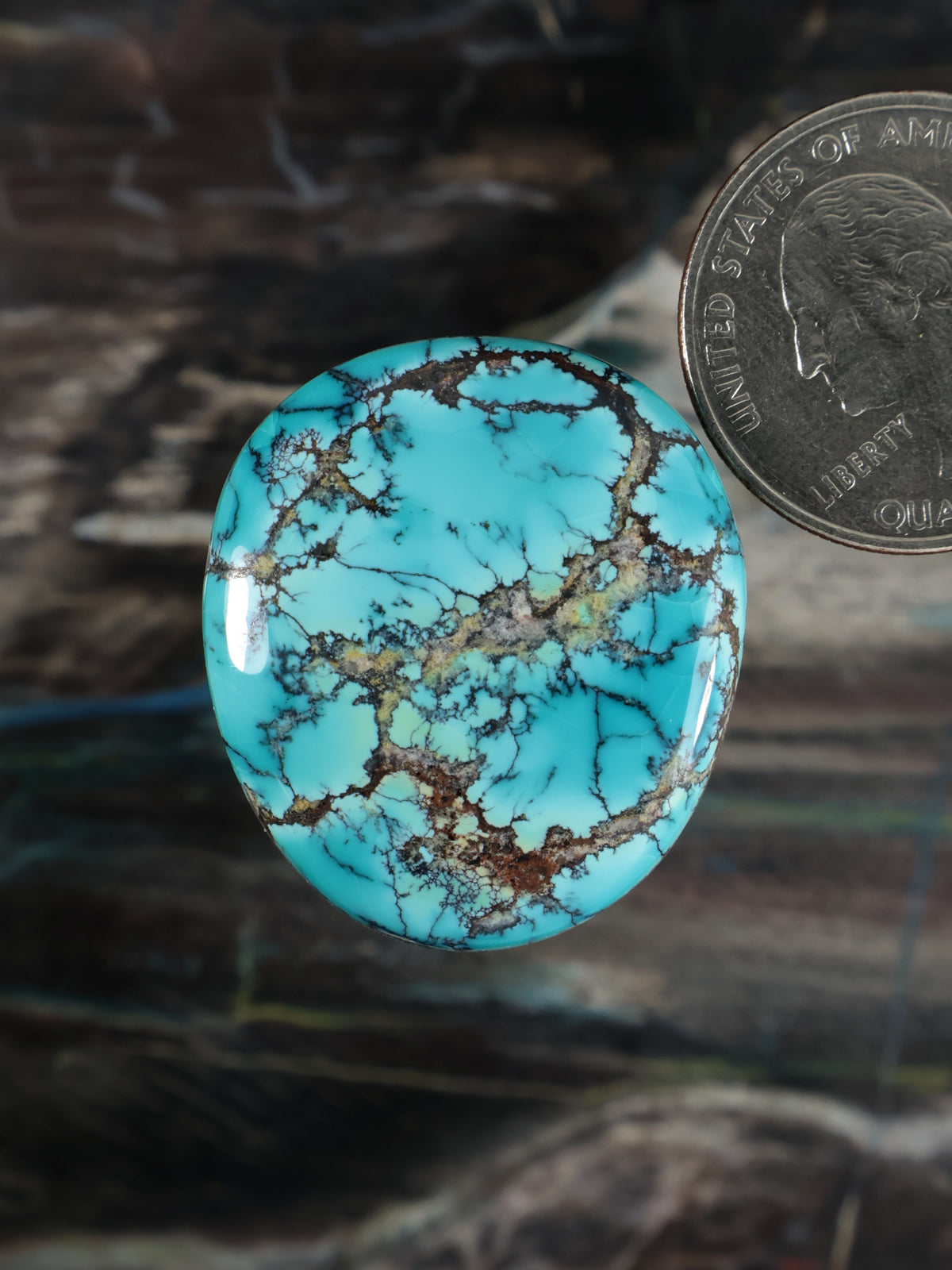 Labashan Turquoise Cabochon B122