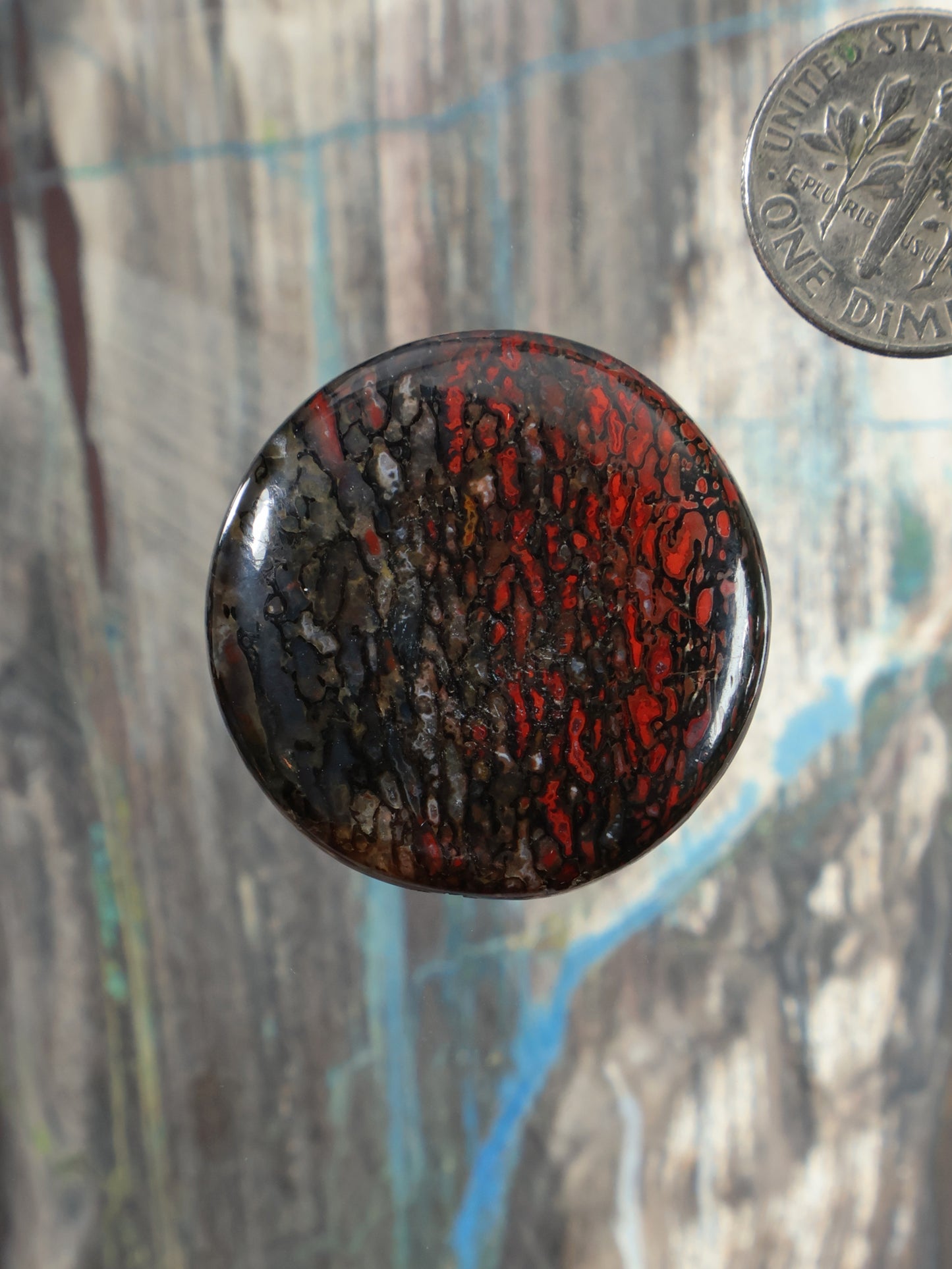 Dinosaur gembone cabochon, round black with red speckled pattern, polished stone.