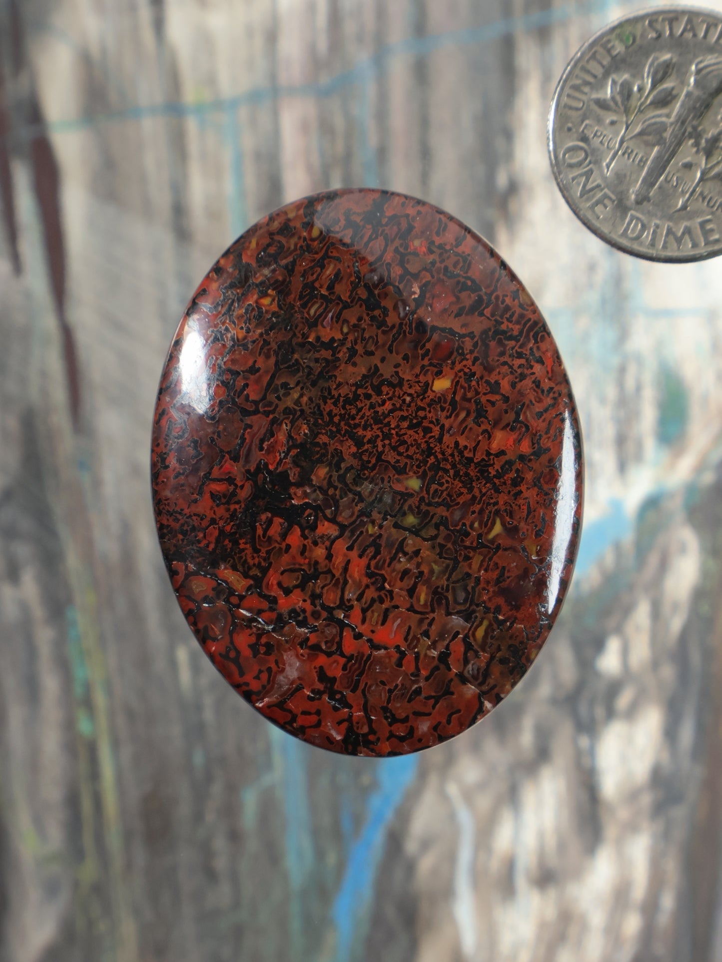 Dinosaur gembone cabochon, oval reddish-brown stone with swirling black veining
