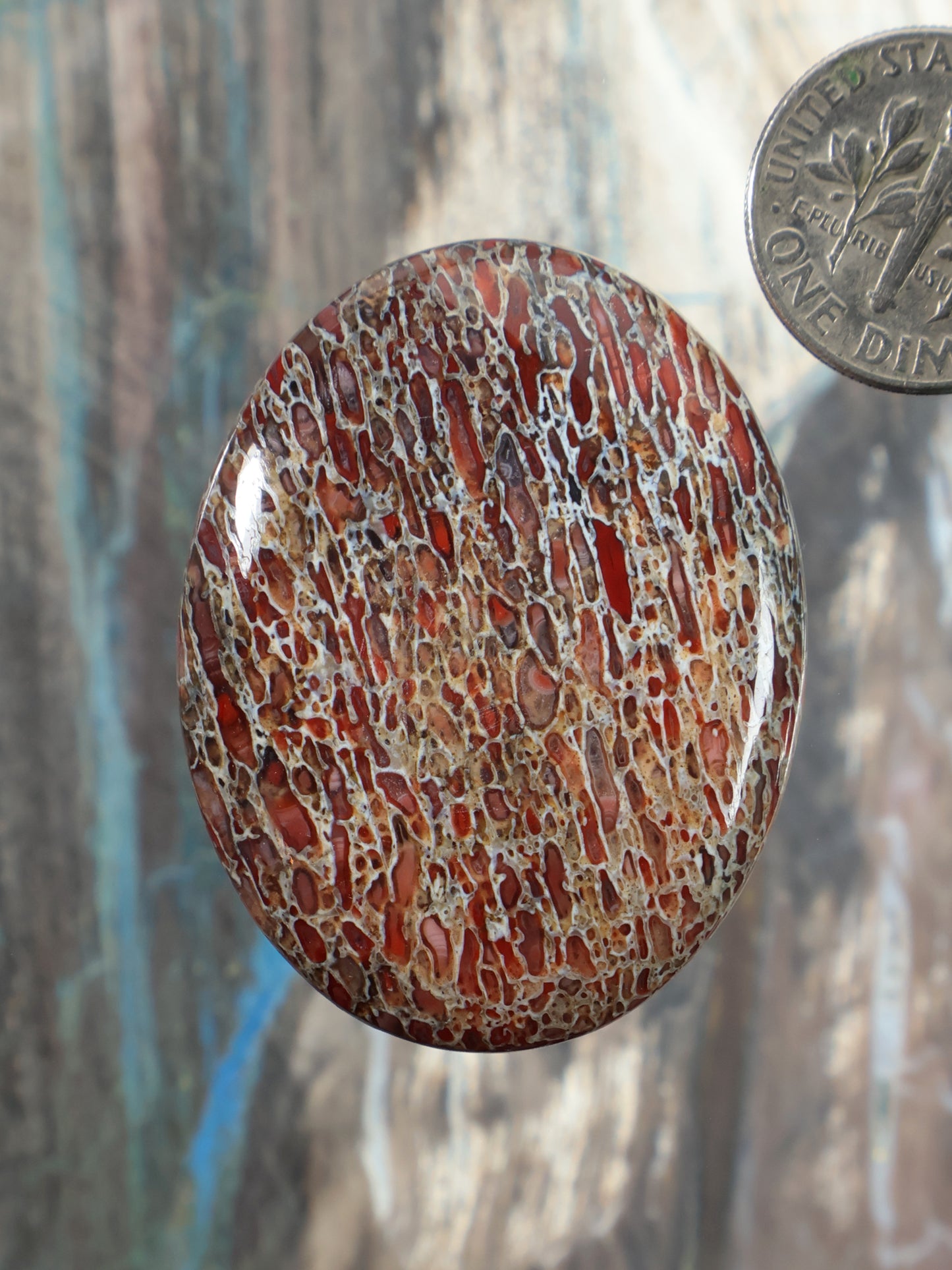 Dinosaur gembone cabochon oval, reddish-brown crackle pattern with glossy surface