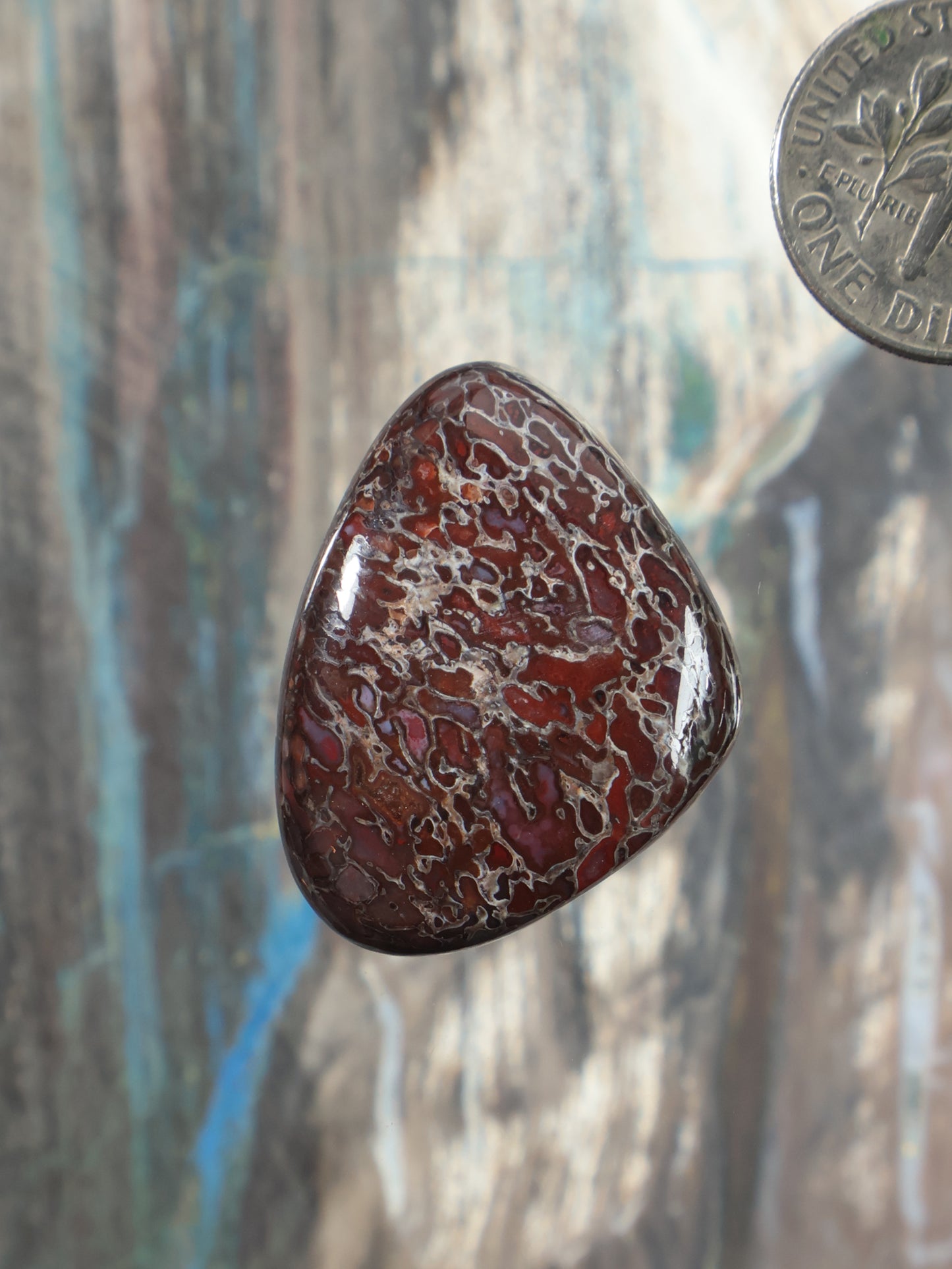 Dinosaur gembone cabochon, maroon teardrop stone with dark web-like veining