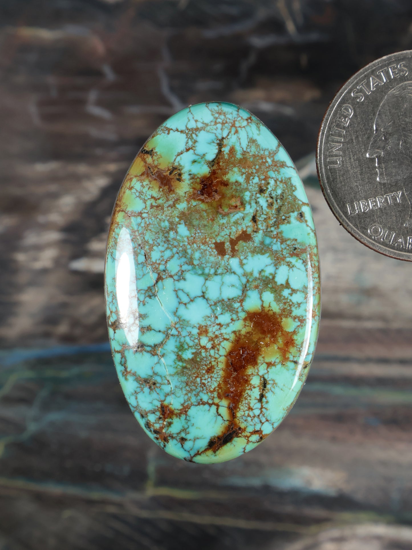 Skyhorse turquoise cabochon gemstone, oval with natural matrix pattern