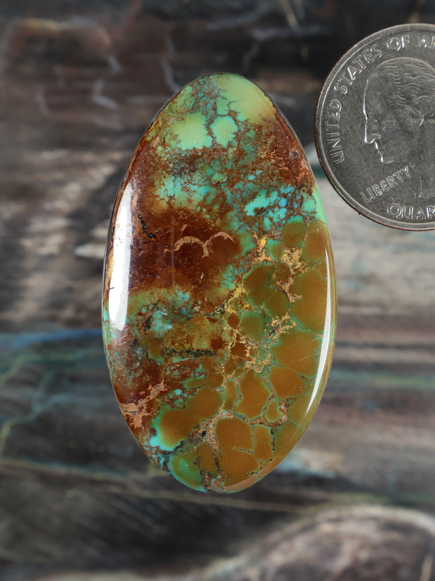 Turquoise cabochon gemstone, oval with green-blue color and brown veining, polished dome