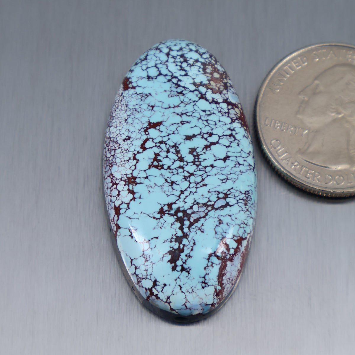 Oval turquoise cabochon with blue base and dark webbed veining