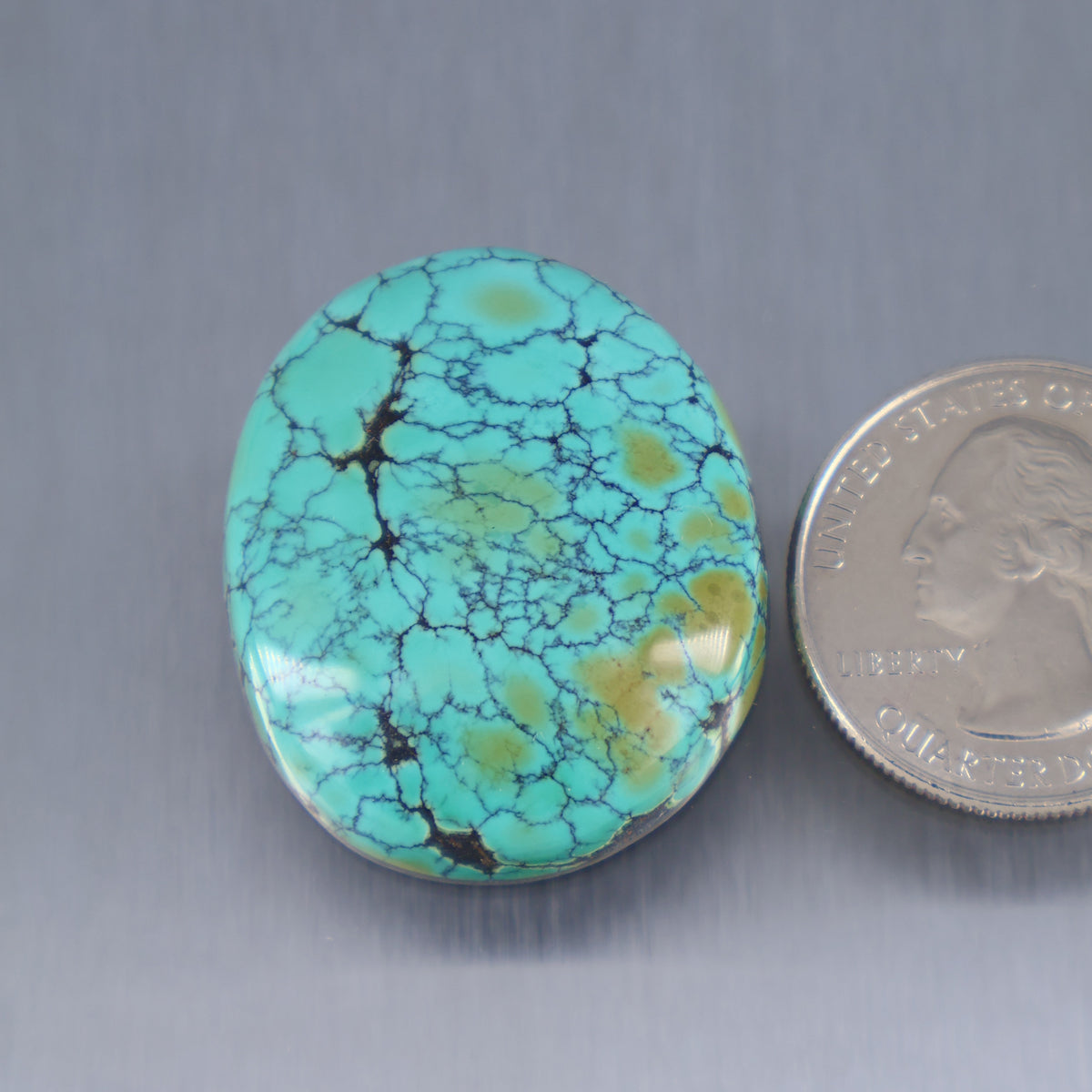 Turquoise oval cabochon with black web matrix, polished gemstone