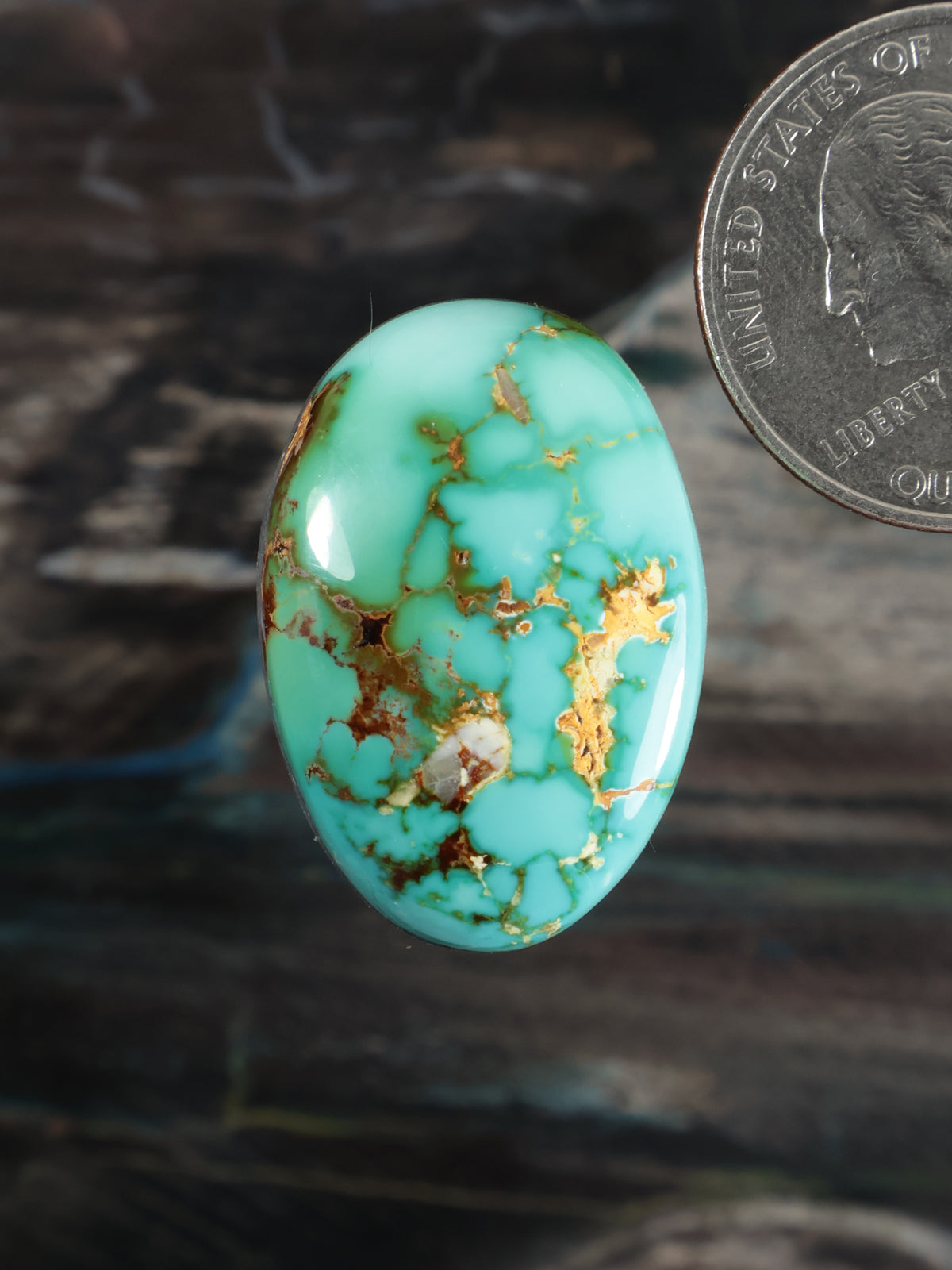 Royston Montezuma Turquoise Cabochon Q095