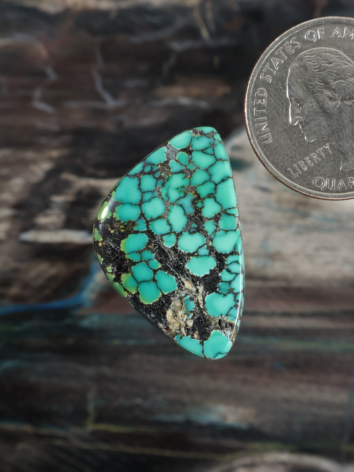 Skyhorse Turquoise Cabochon Q055