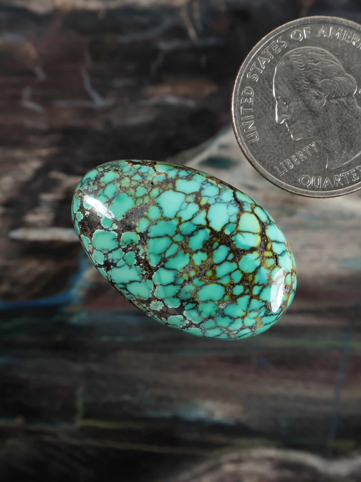 Skyhorse Turquoise Cabochon Q062
