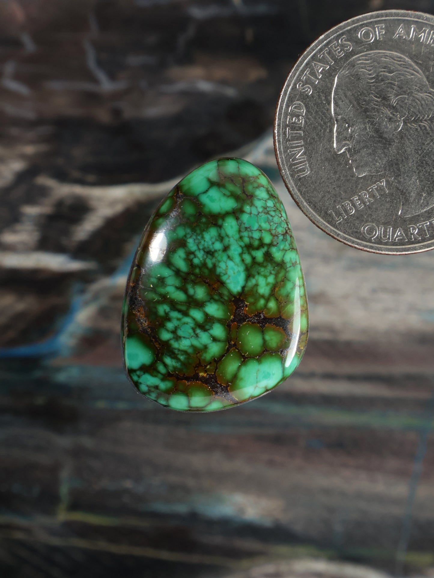 Skyhorse Turquoise Cabochon Q059