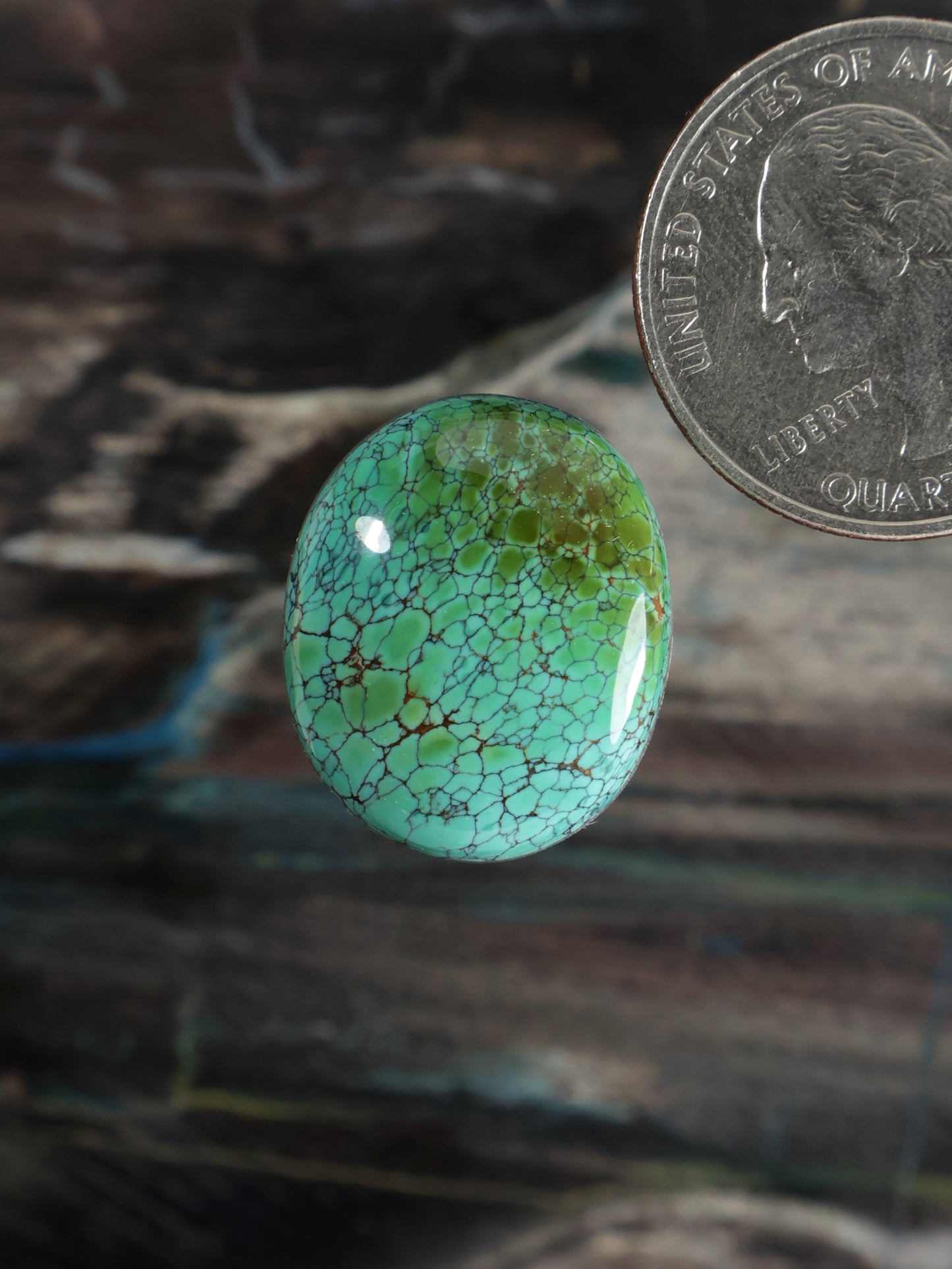 Skyhorse Turquoise Cabochon Q054