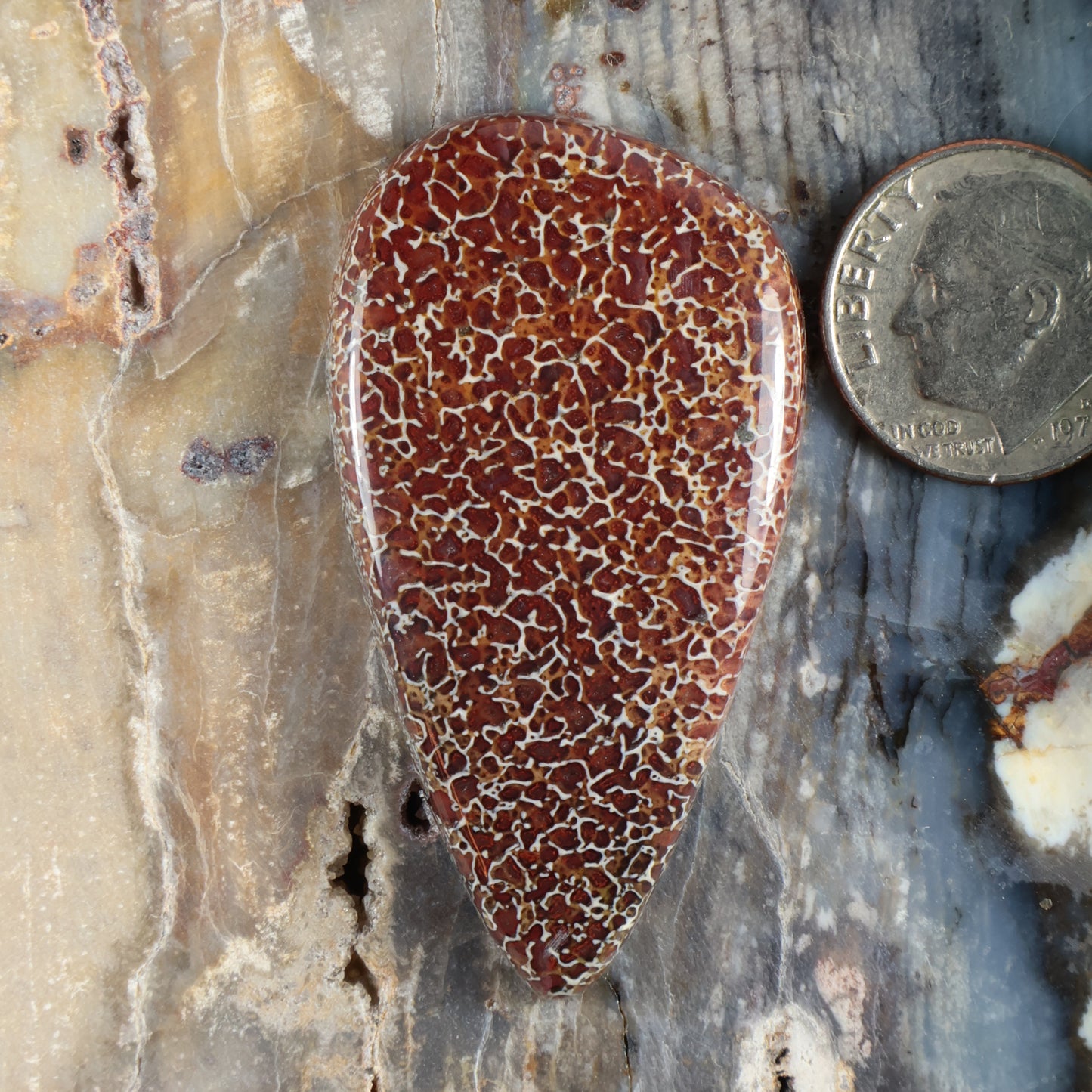 Dinosaur gembone cabochon, oval red-brown stone with white web pattern