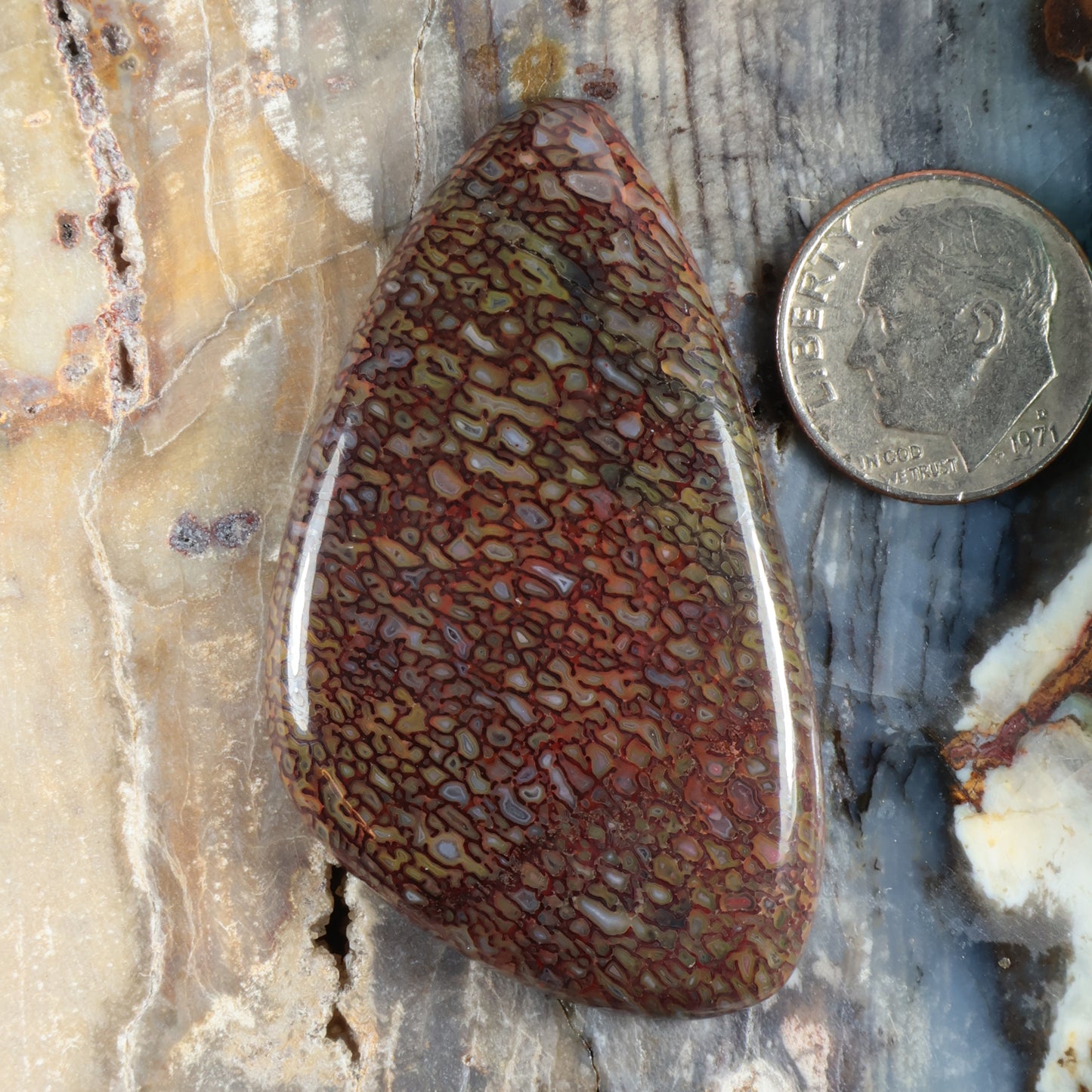 Dinosaur gembone cabochon, teardrop polished stone with dark marbled red pattern