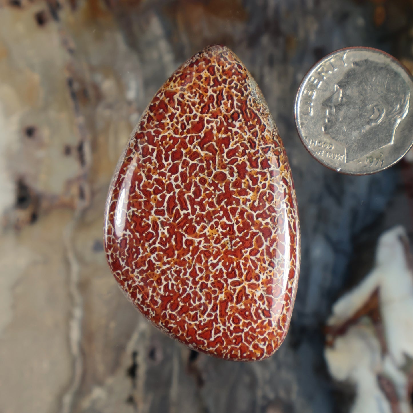 Dinosaur gembone cabochon teardrop, red with white veined pattern, polished gemstone.