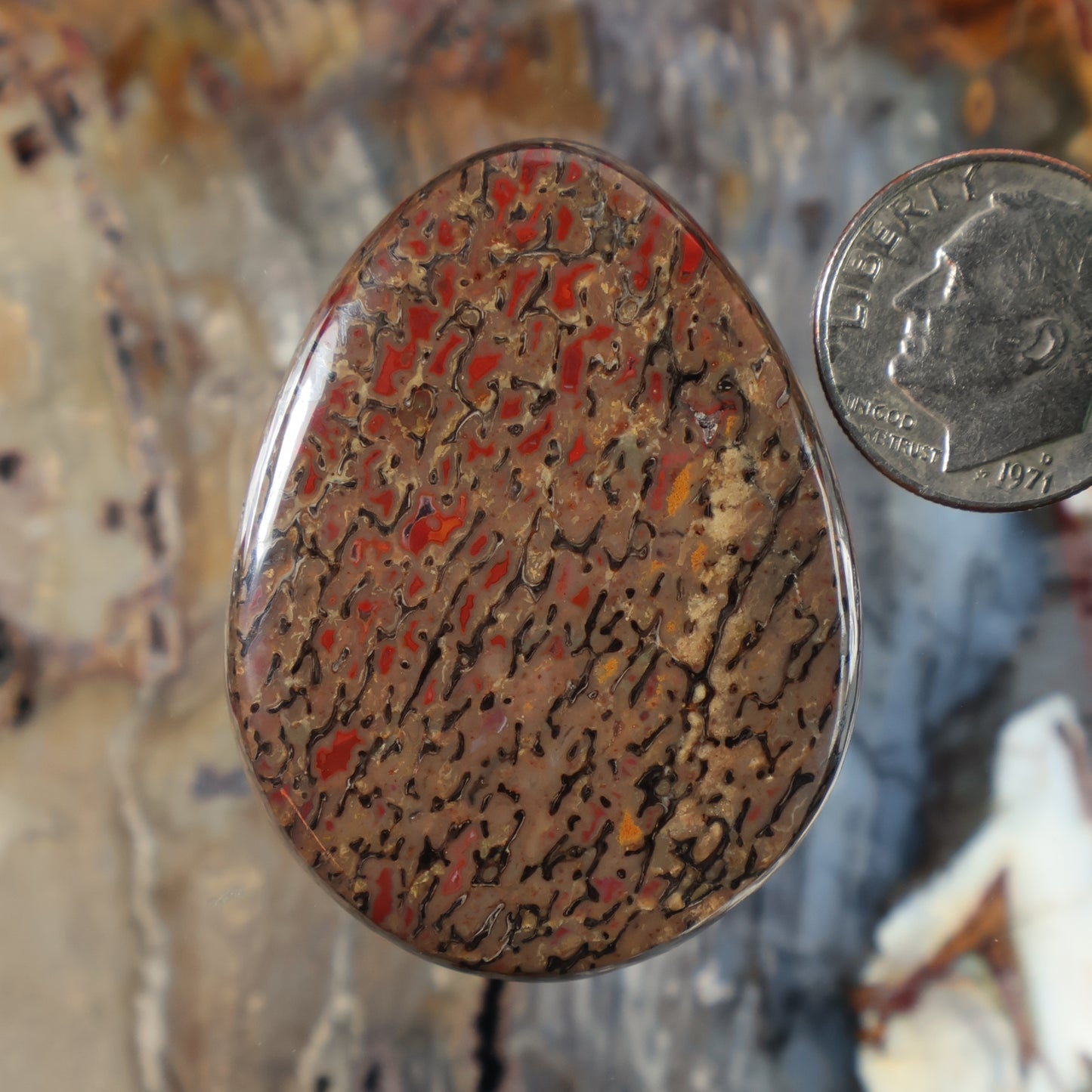 Dinosaur gembone cabochon, oval with mottled red and black fossil-like pattern