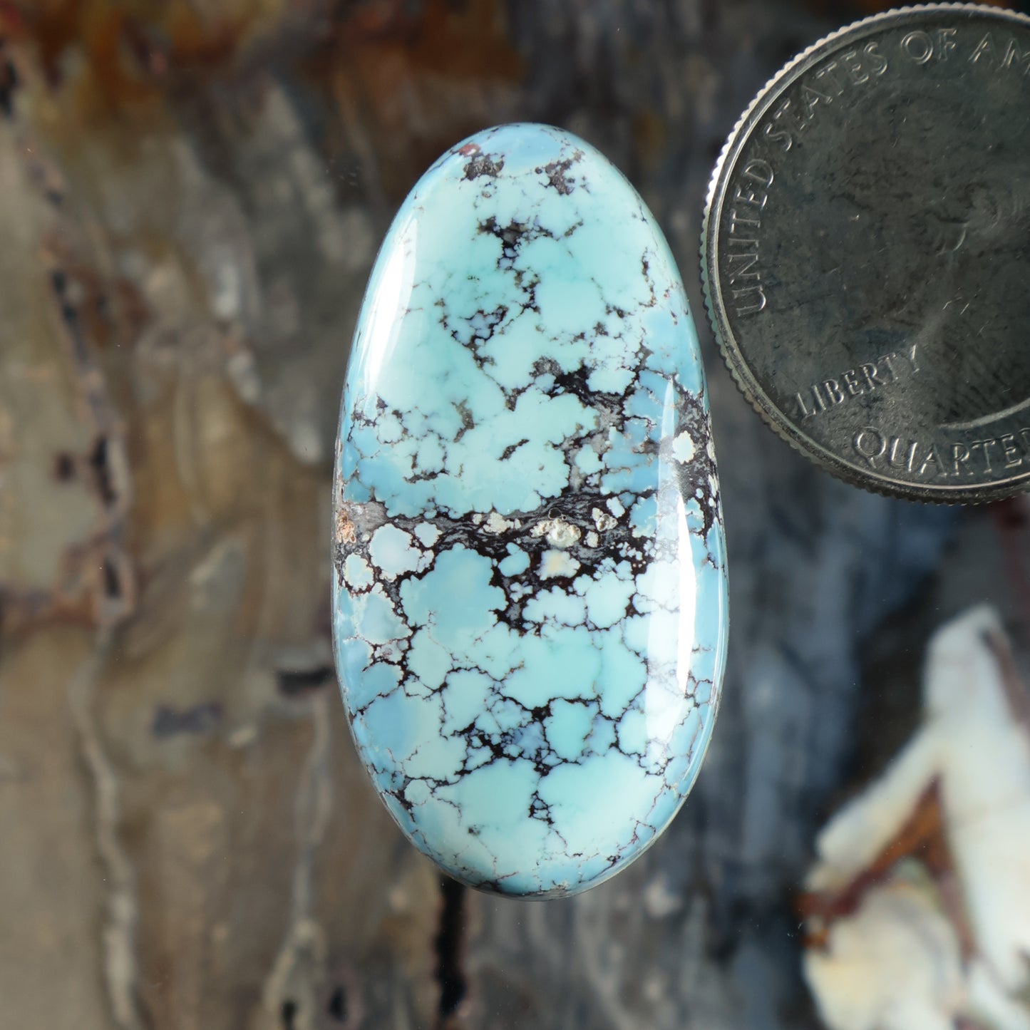 Oval turquoise cabochon with black matrix veining