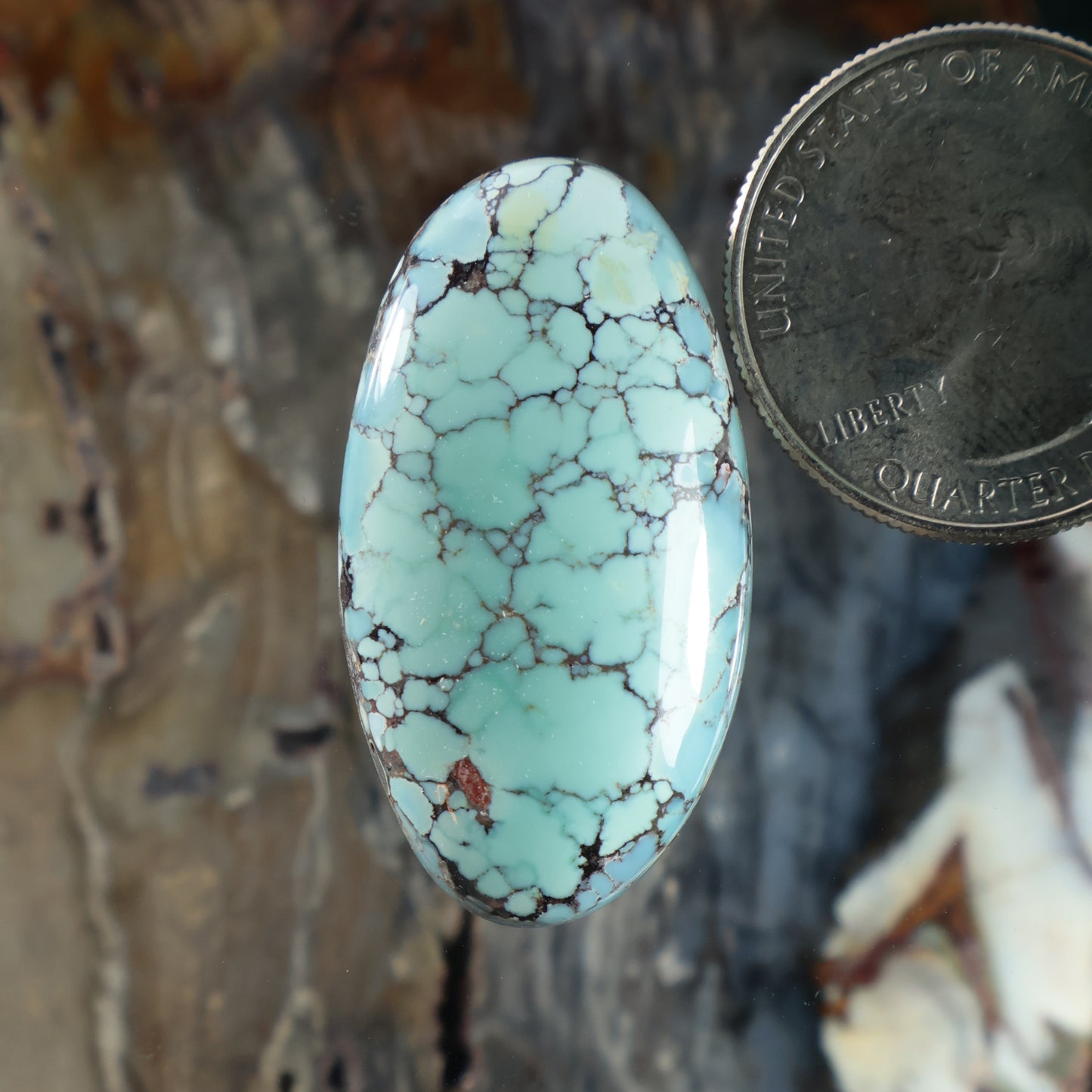 Oval turquoise cabochon with dark matrix veining