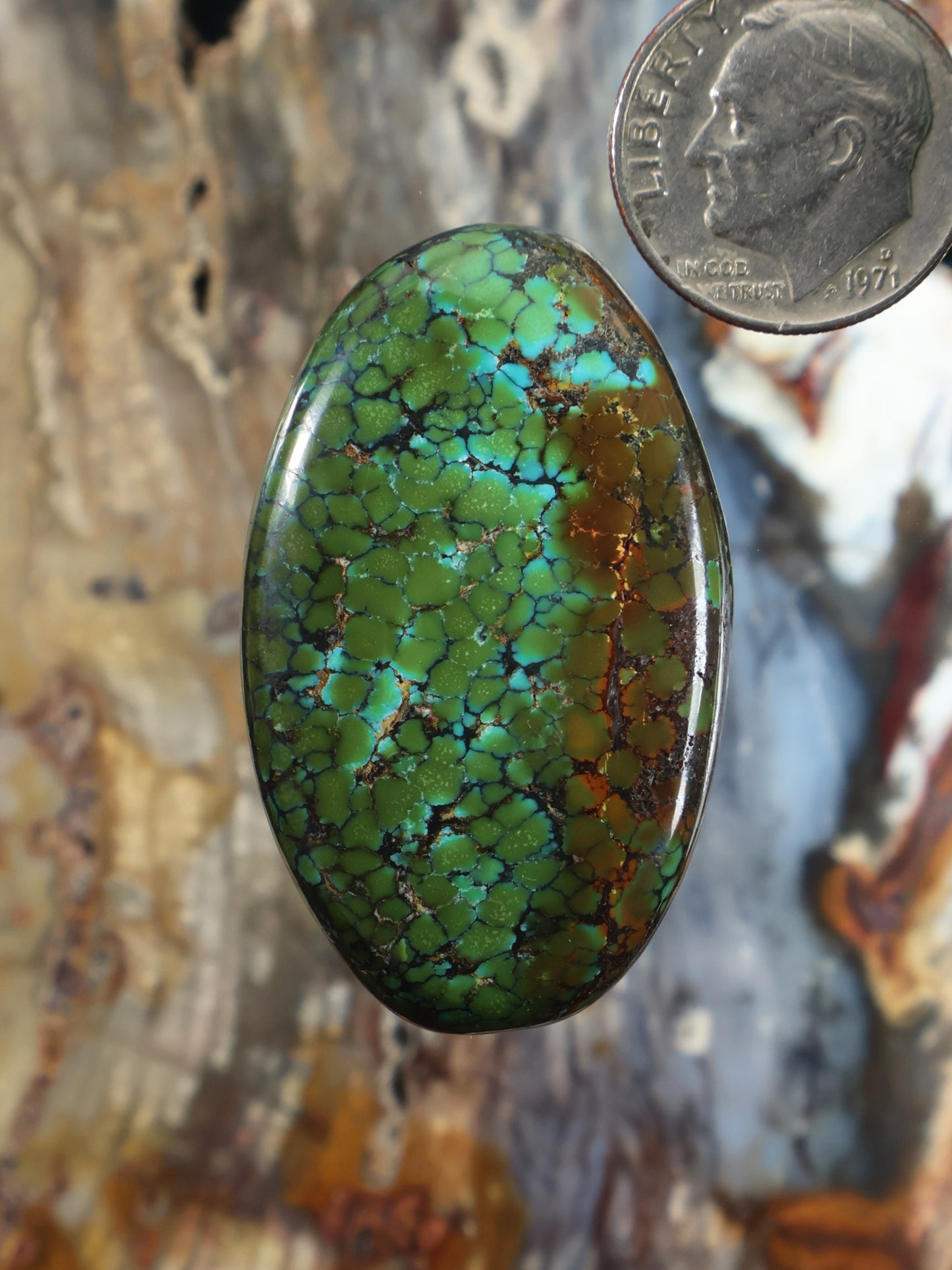 Oval turquoise cabochon gemstone with crackle matrix, sized next to a coin