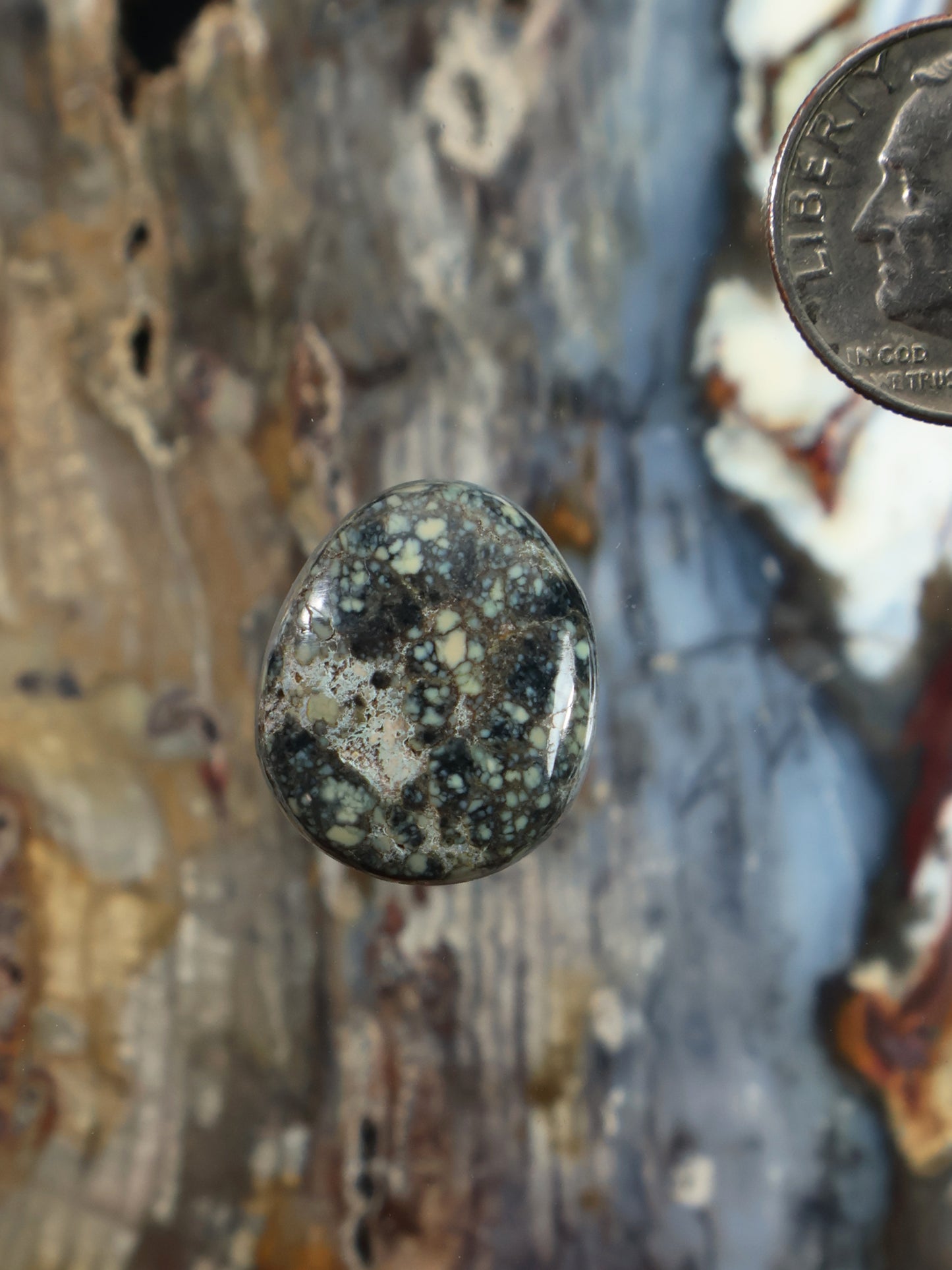 Round dark green speckled variscite cabochon gemstone, polished domed face.