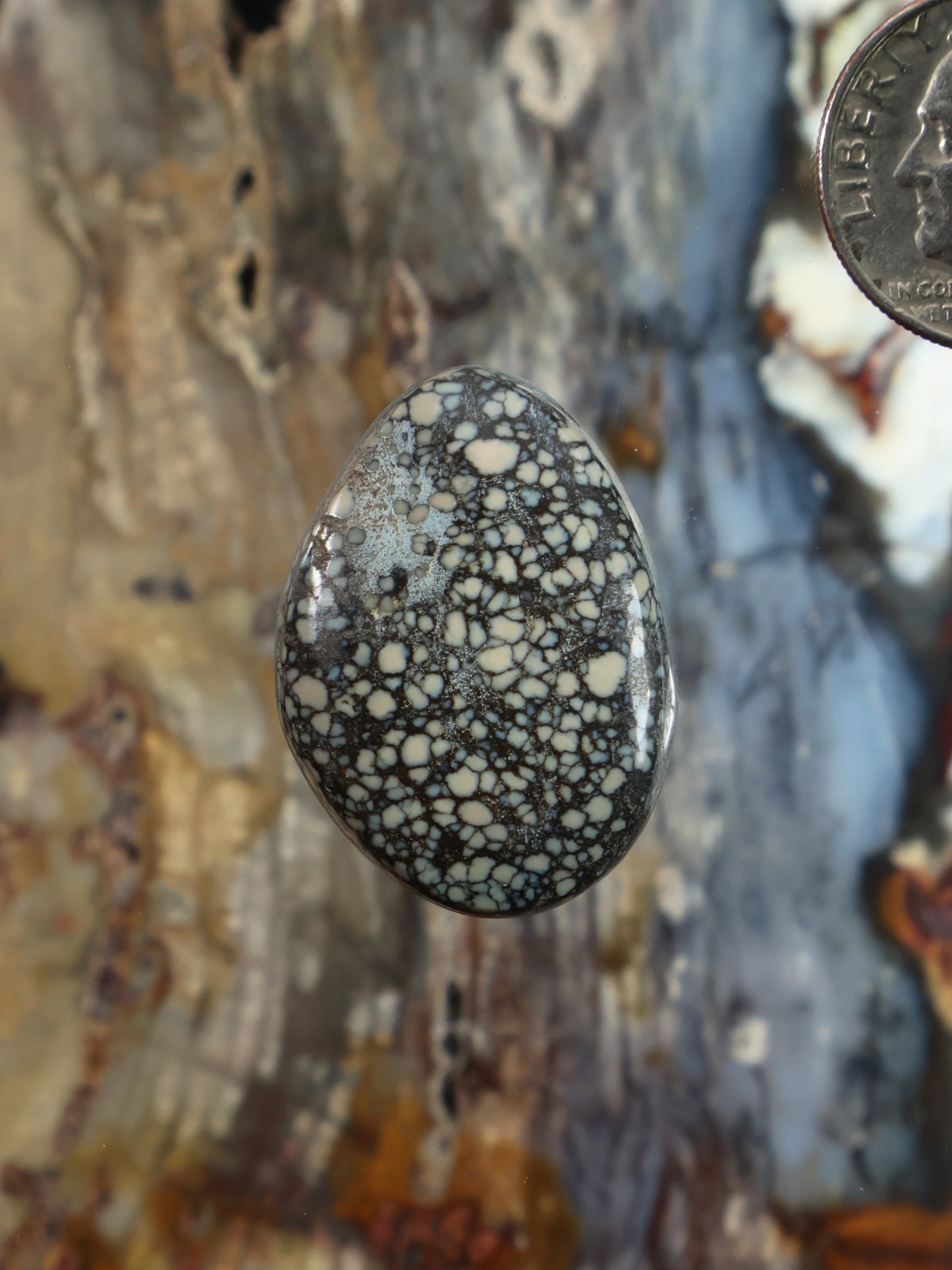 Oval variscite cabochon with dark gray and black web-like veining on stone surface