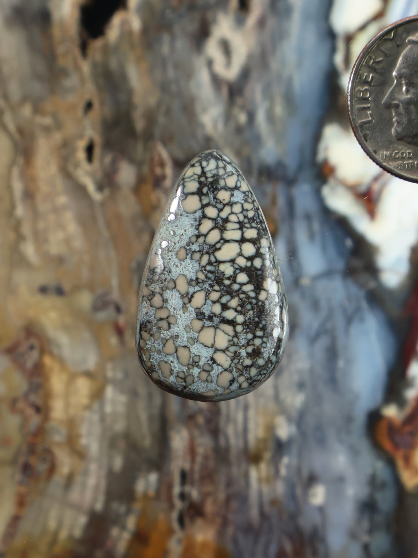 Teardrop variscite cabochon with blue-gray stone and dark web-like pattern