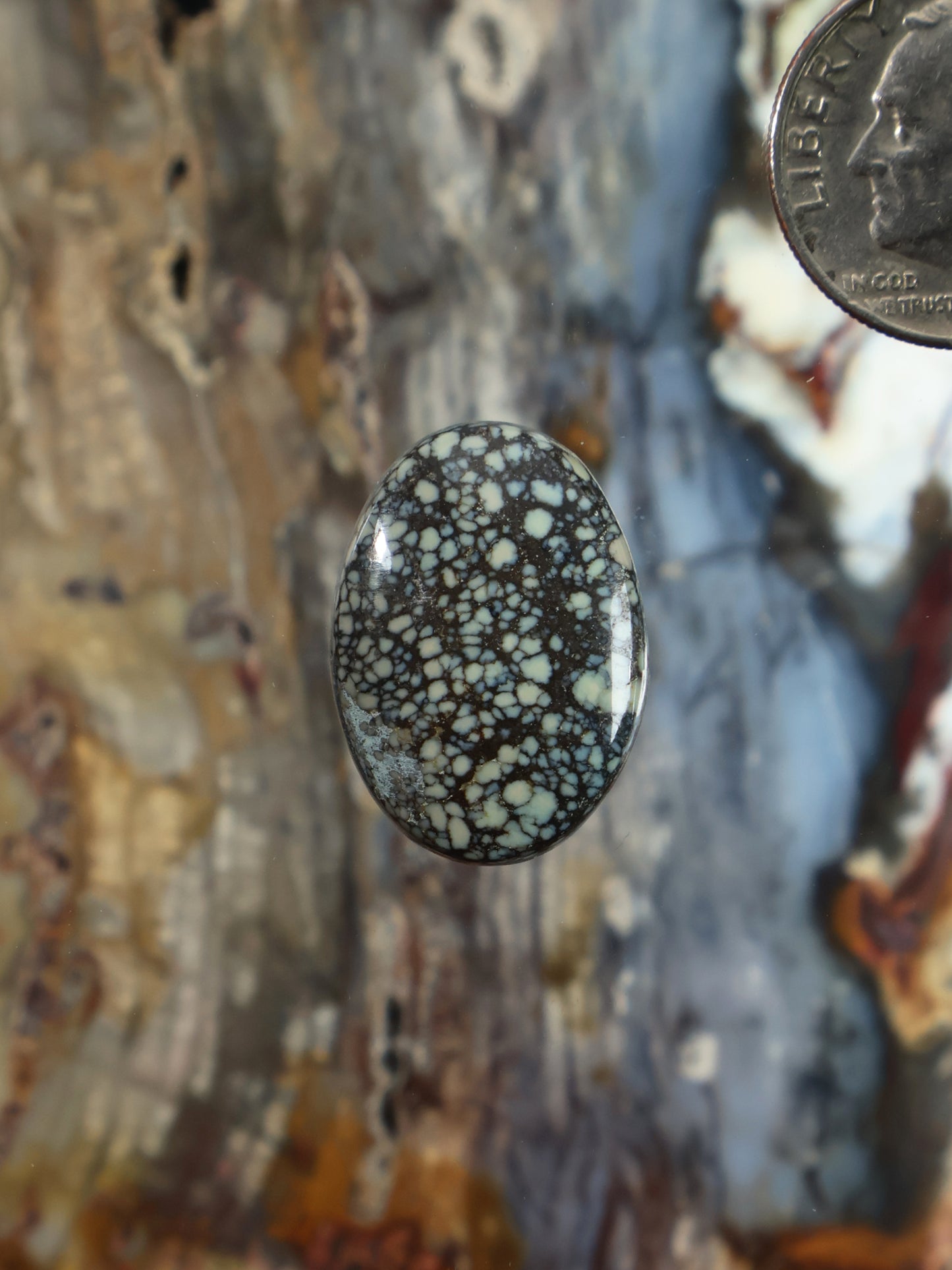 Poseidon Variscite cabochon oval, dark stone with light web speckle pattern