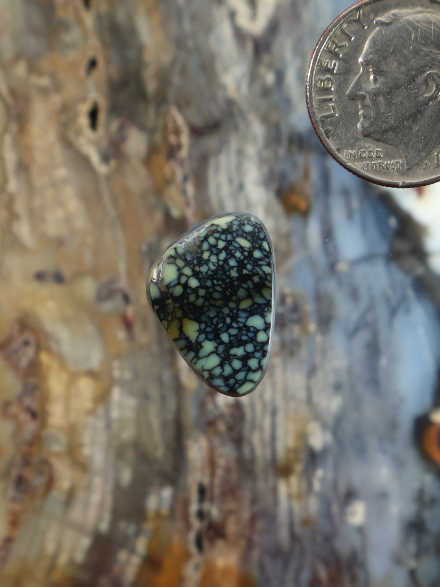 Teardrop variscite cabochon with teal-green speckled web pattern