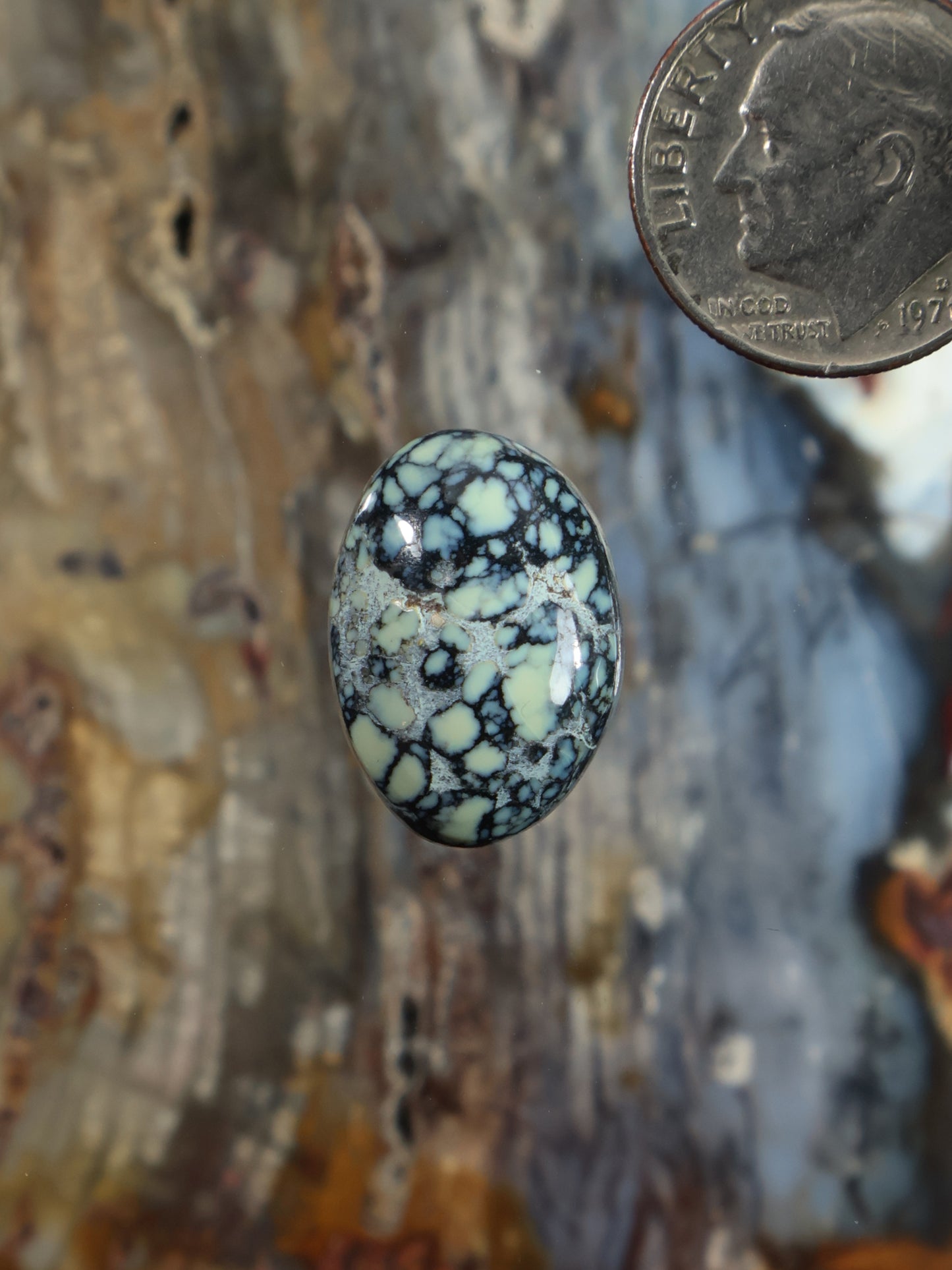 Poseidon variscite cabochon, oval blue stone with black veining and web pattern