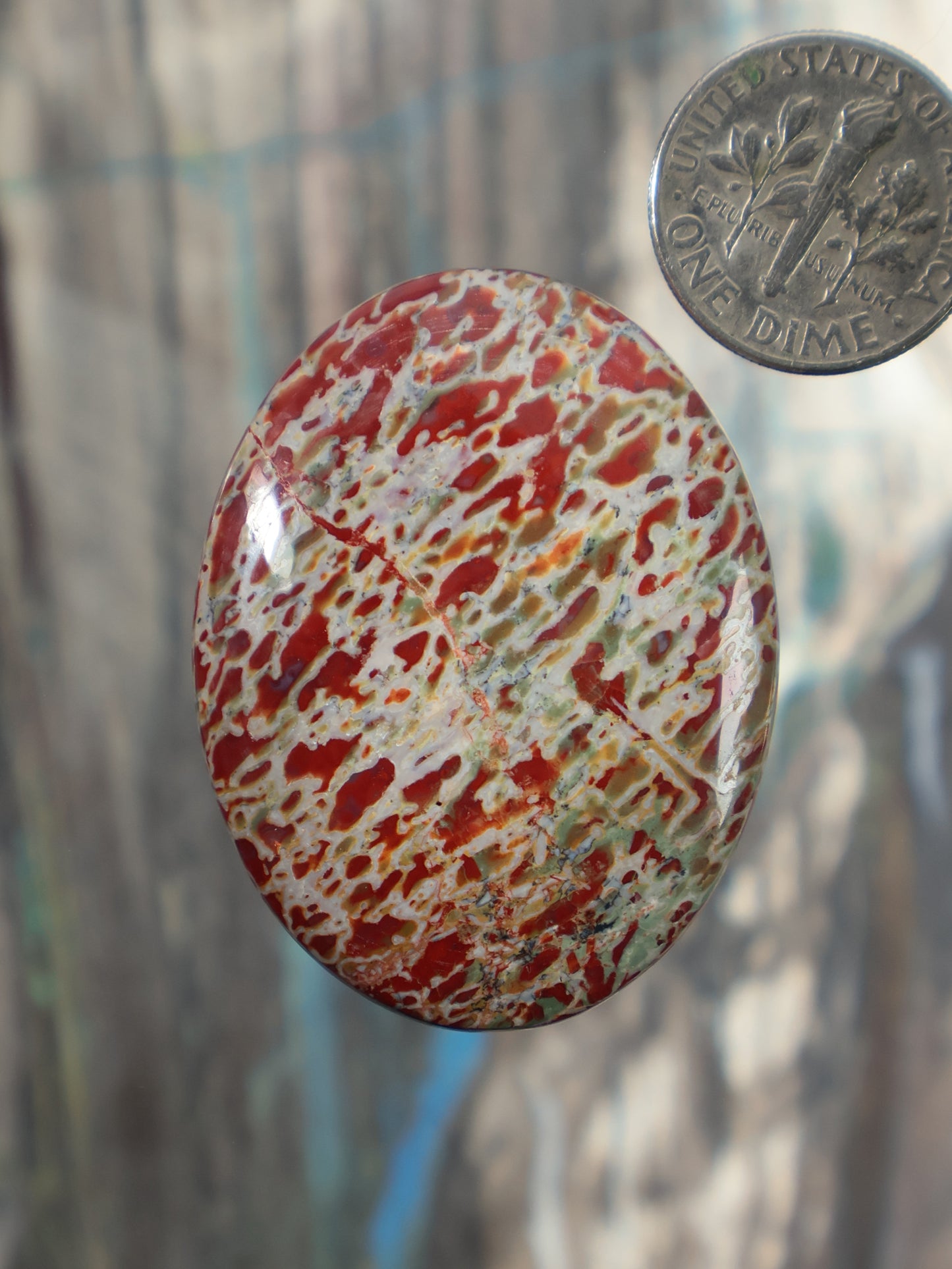 Dinosaur gembone cabochon gemstone, red and cream mottled oval