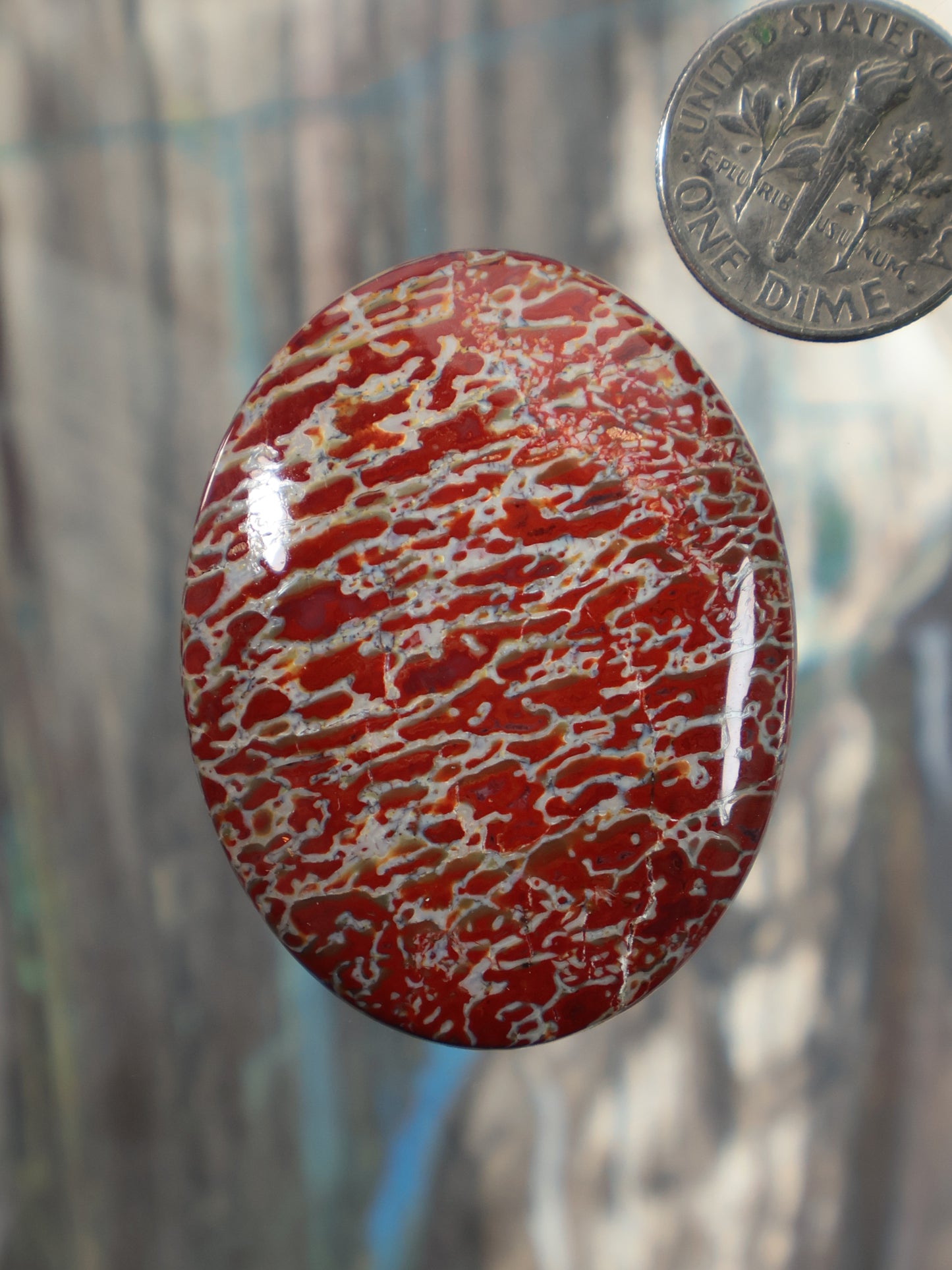 Red and white dinosaur gembone cabochon, oval gemstone with marbled pattern