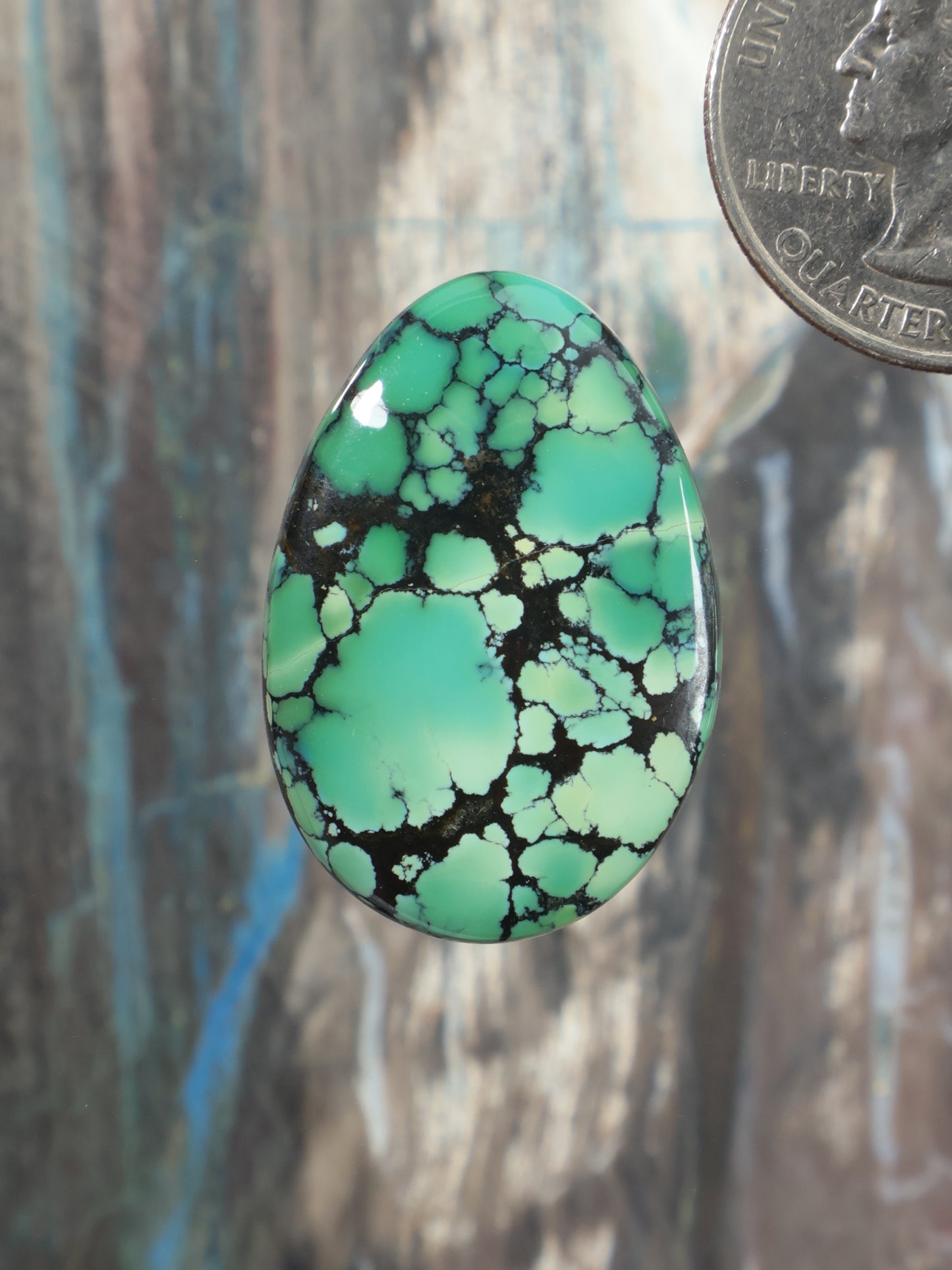 Turquoise cabochon gemstone with black webbed matrix, oval.