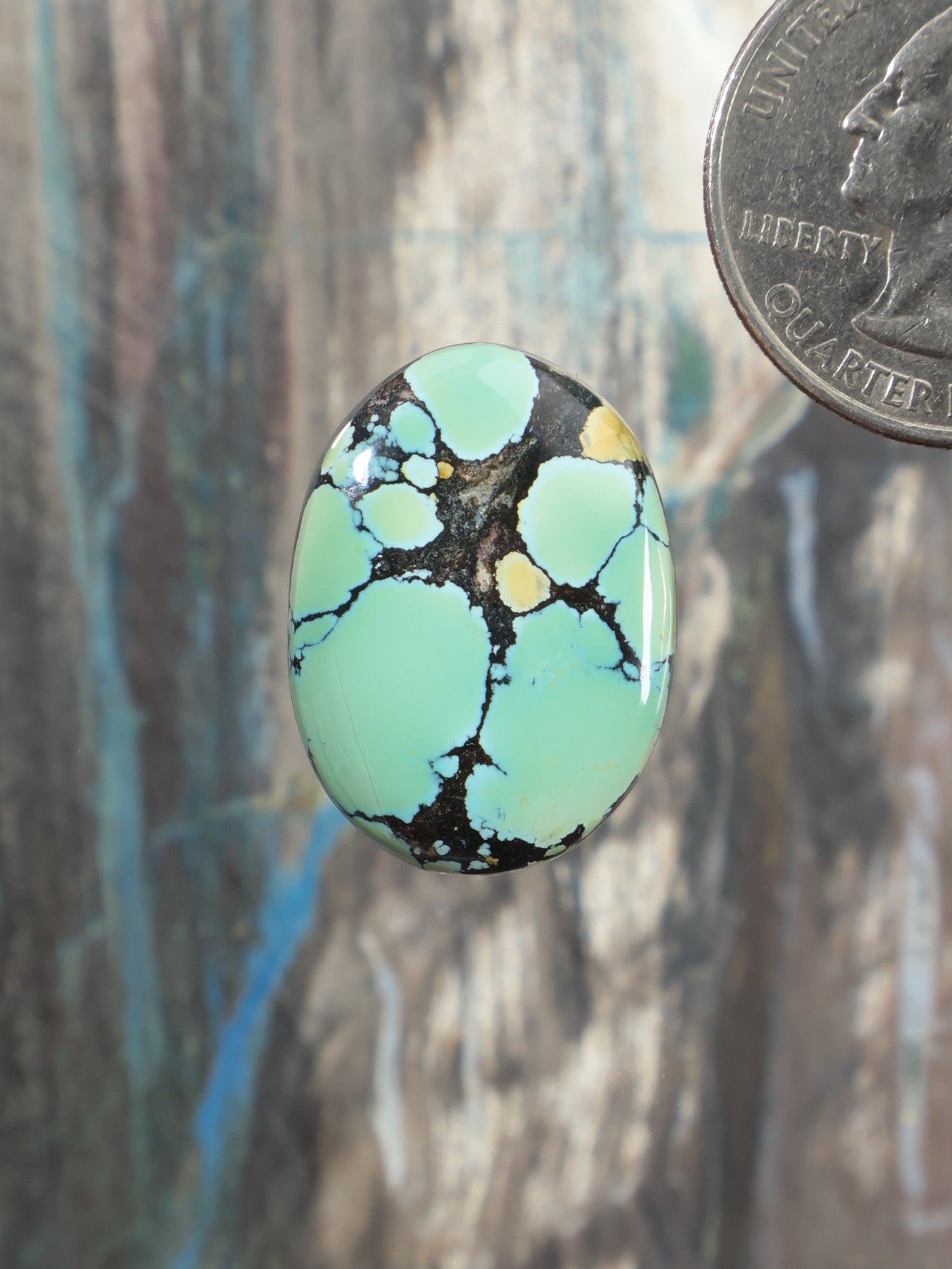 Turquoise cabochon gemstone, oval with green color and black matrix webbing.