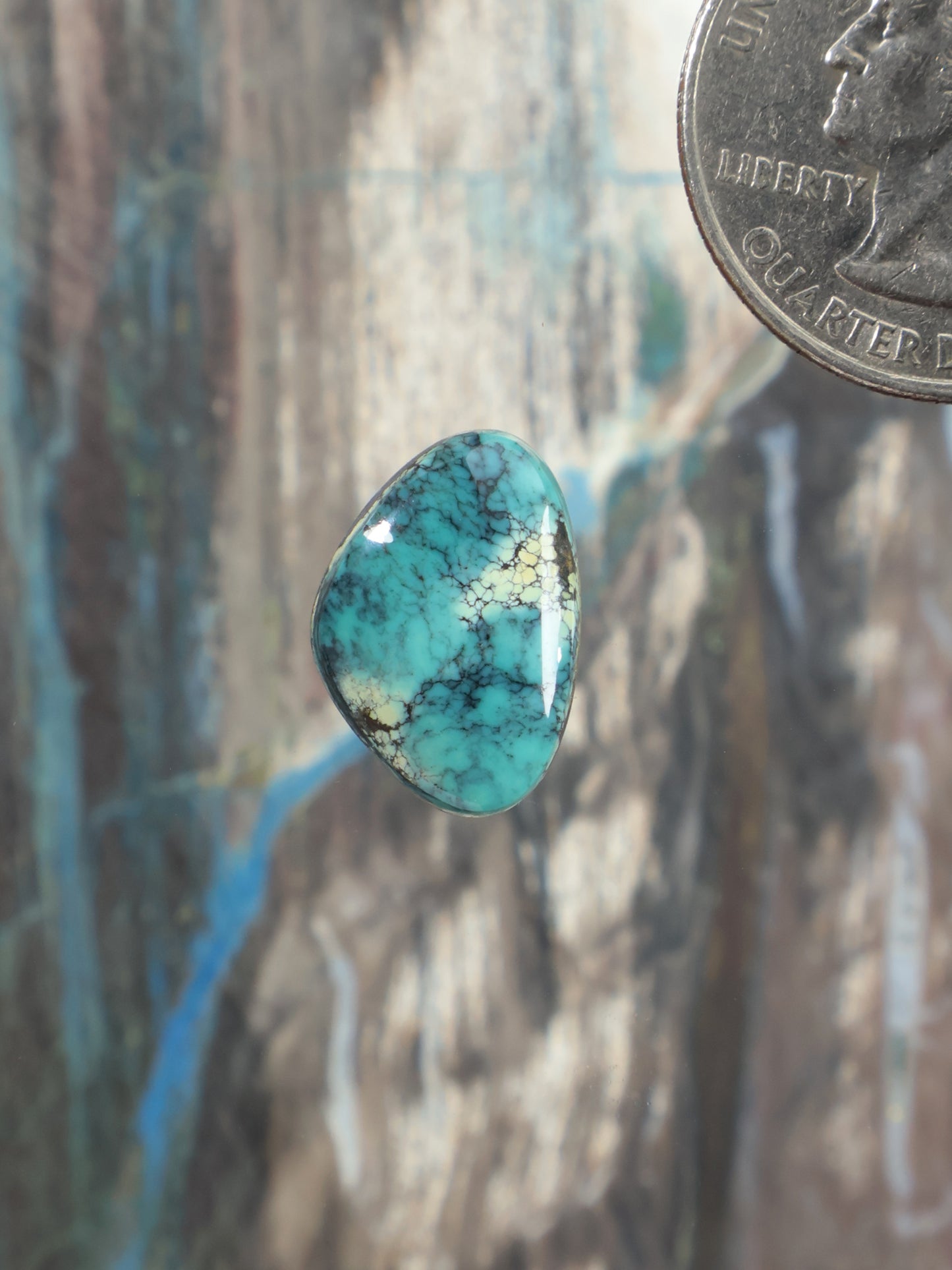 Turquoise oval cabochon with dark natural vein pattern