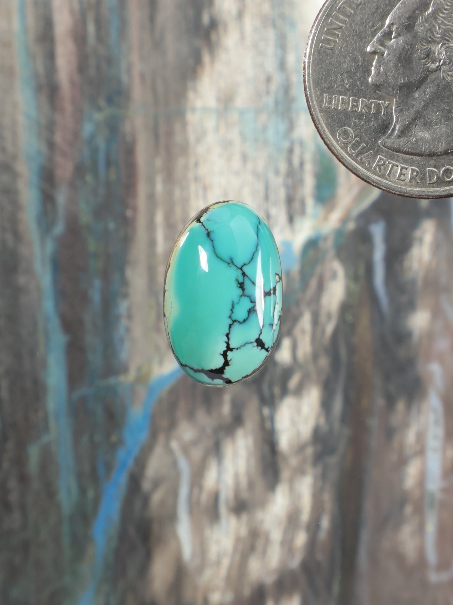 Oval turquoise cabochon gemstone with black matrix veining and glossy finish