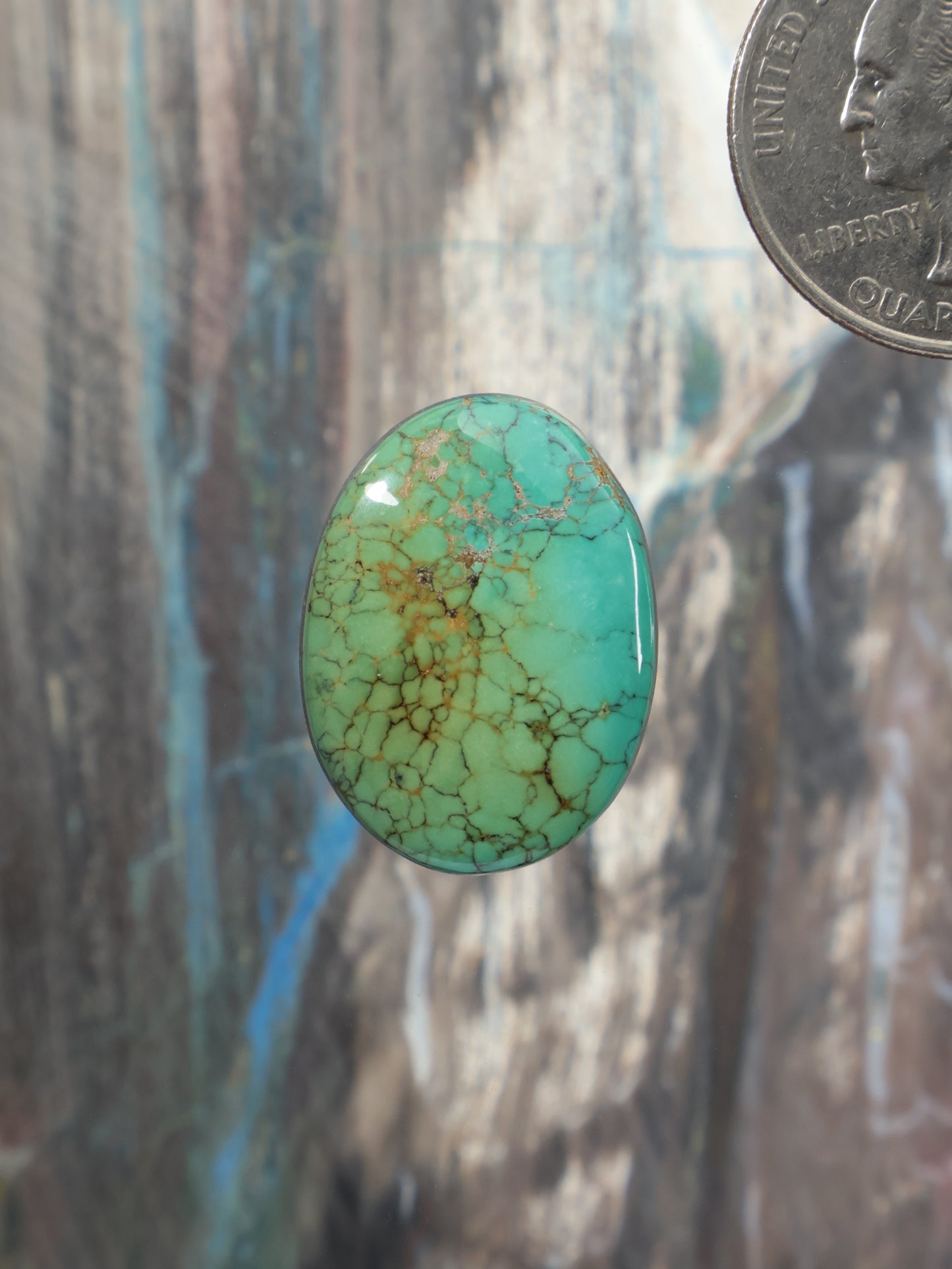 Oval turquoise cabochon gemstone with webbed matrix
