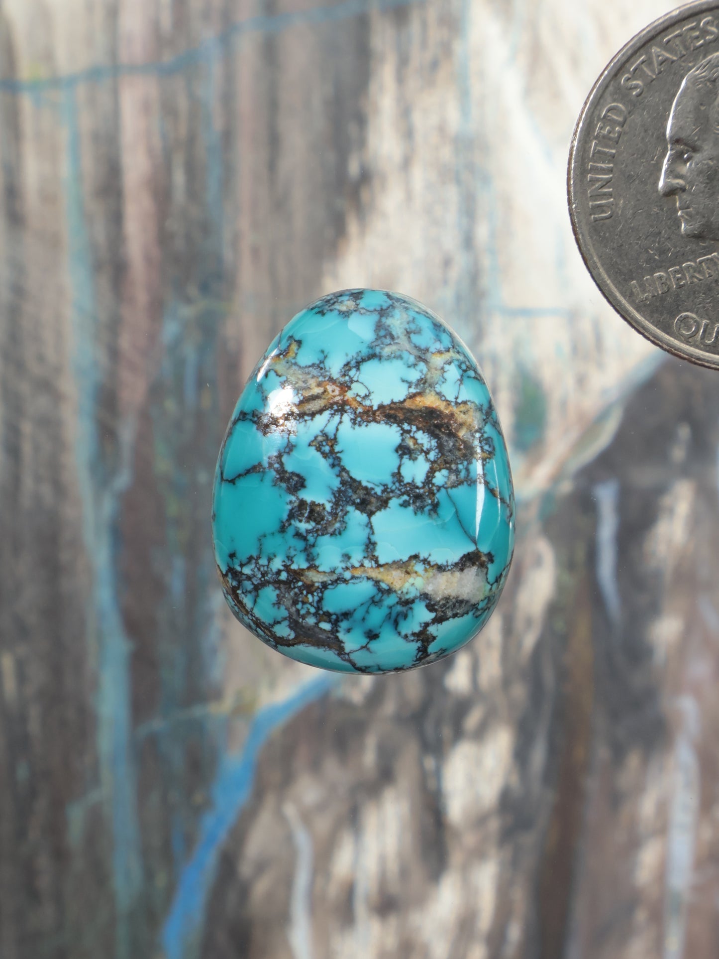 Oval turquoise cabochon with dark brown matrix webbing