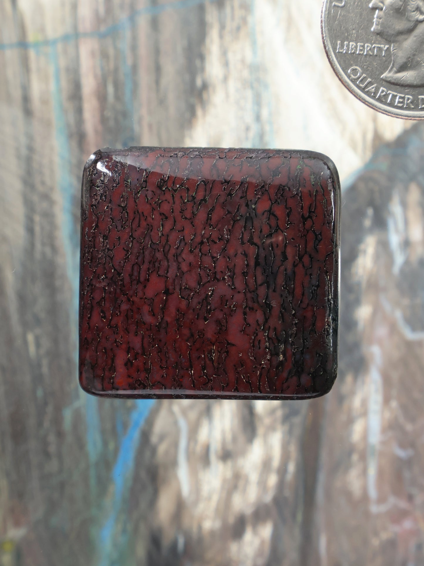 Dinosaur gembone cabochon, dark red square stone with black crackle pattern